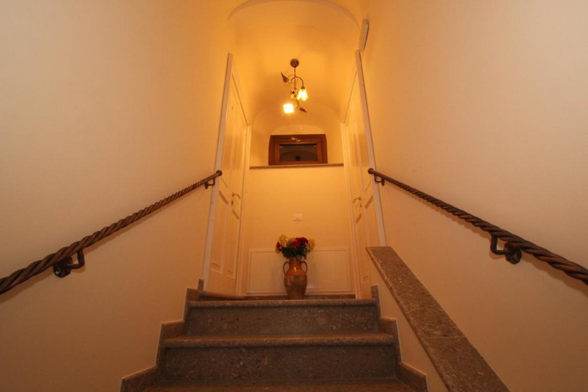 Photo 50