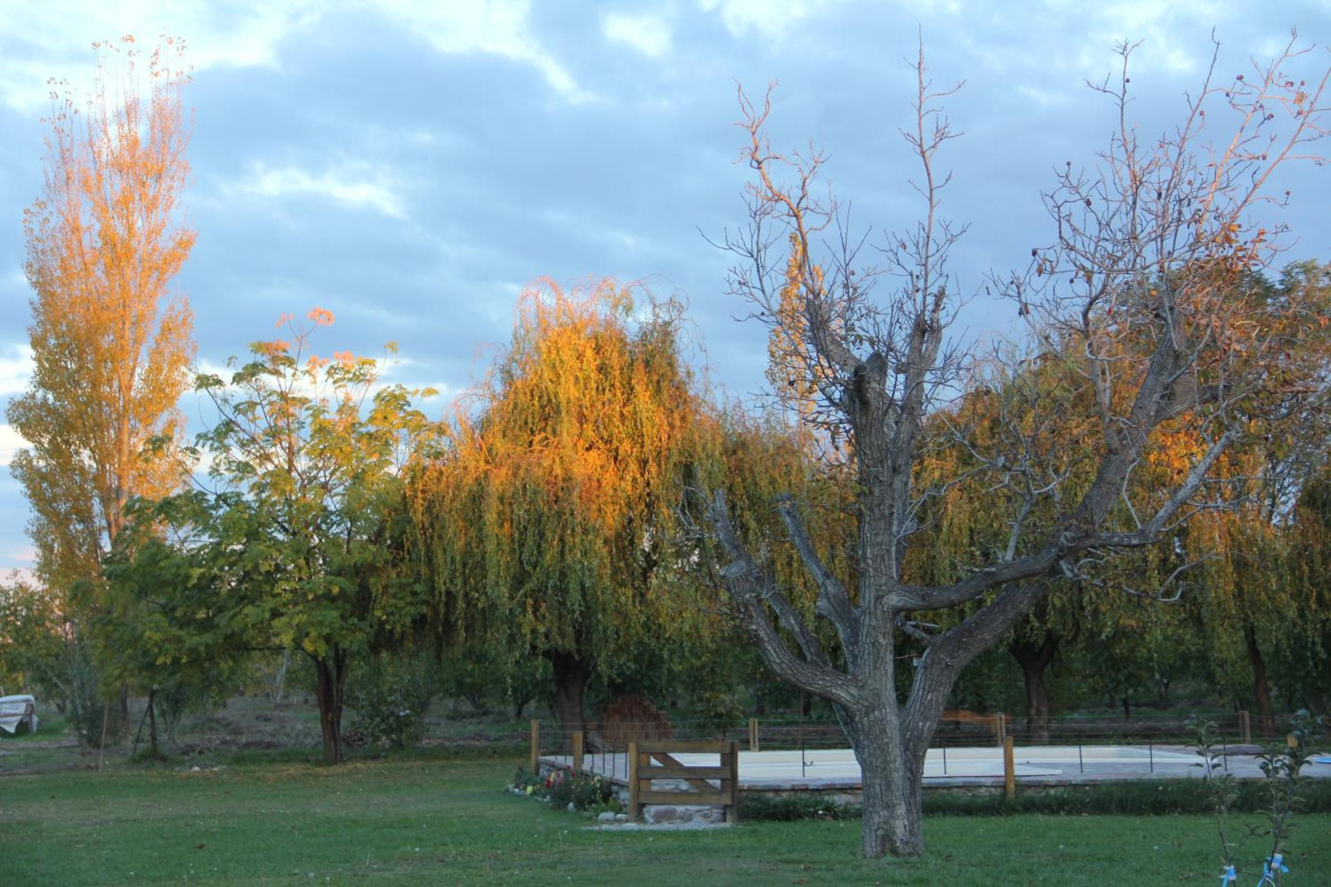 Cabaña La Palloza