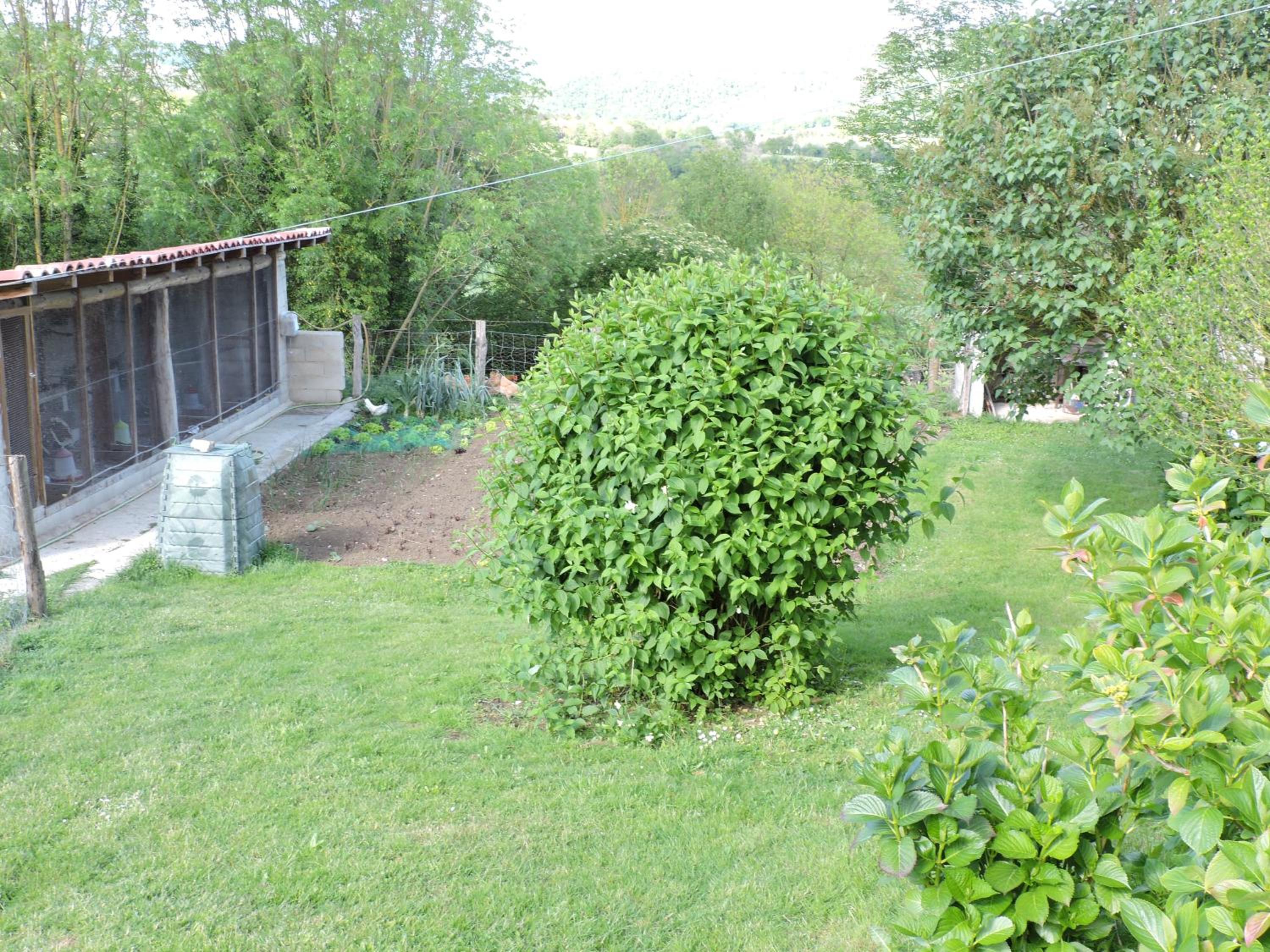 Photo 20