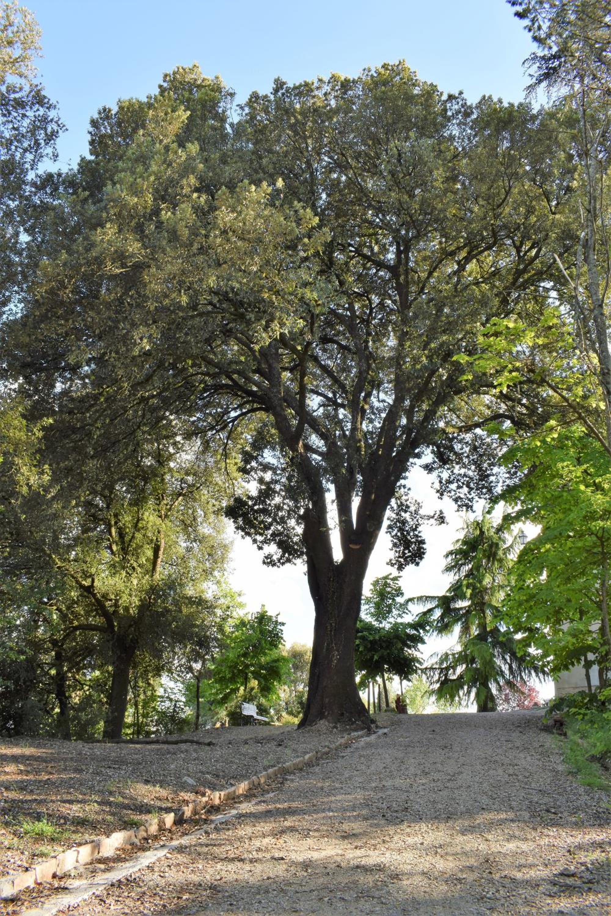 Photo 27