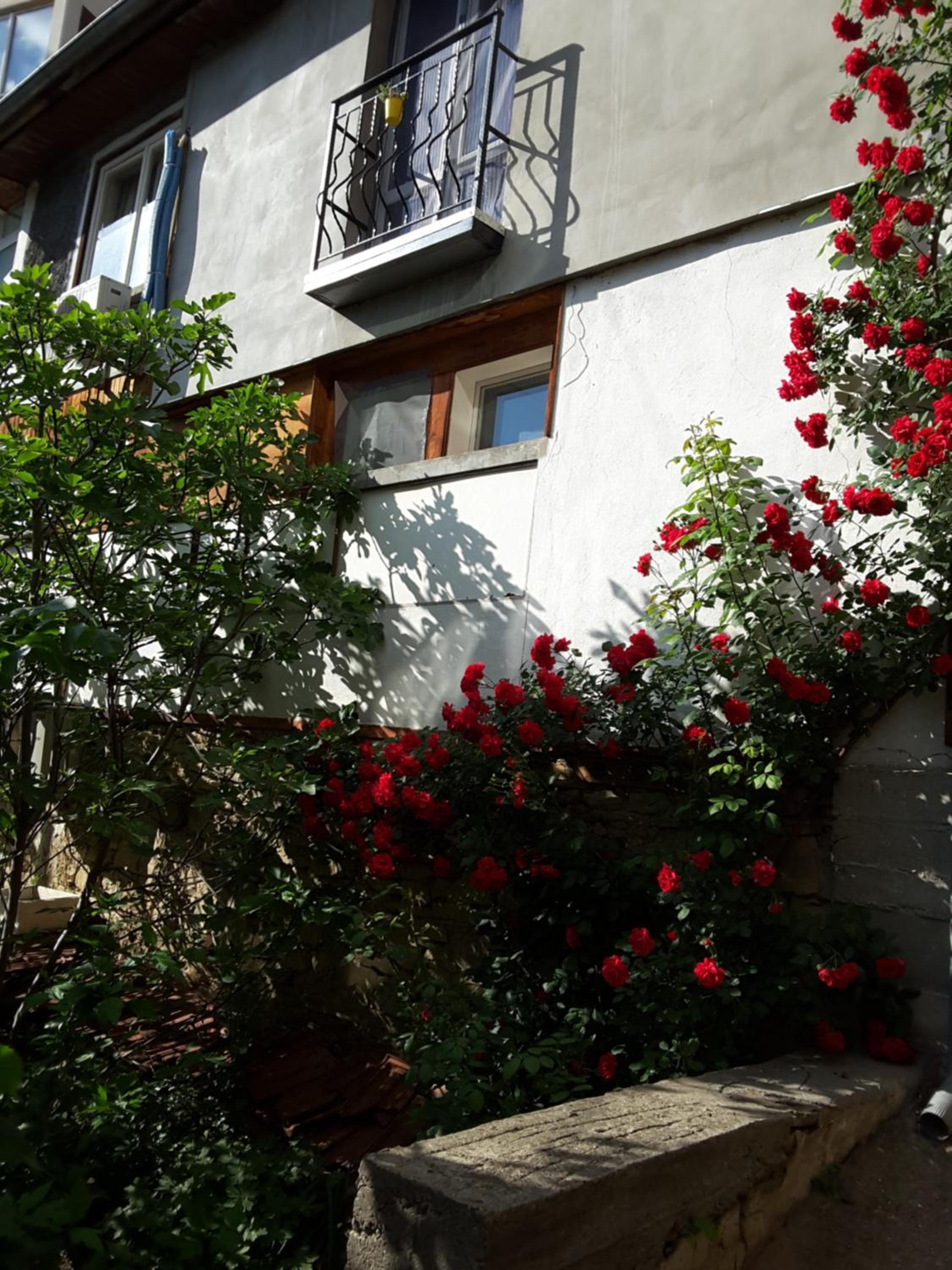 Diana Guesthouse
