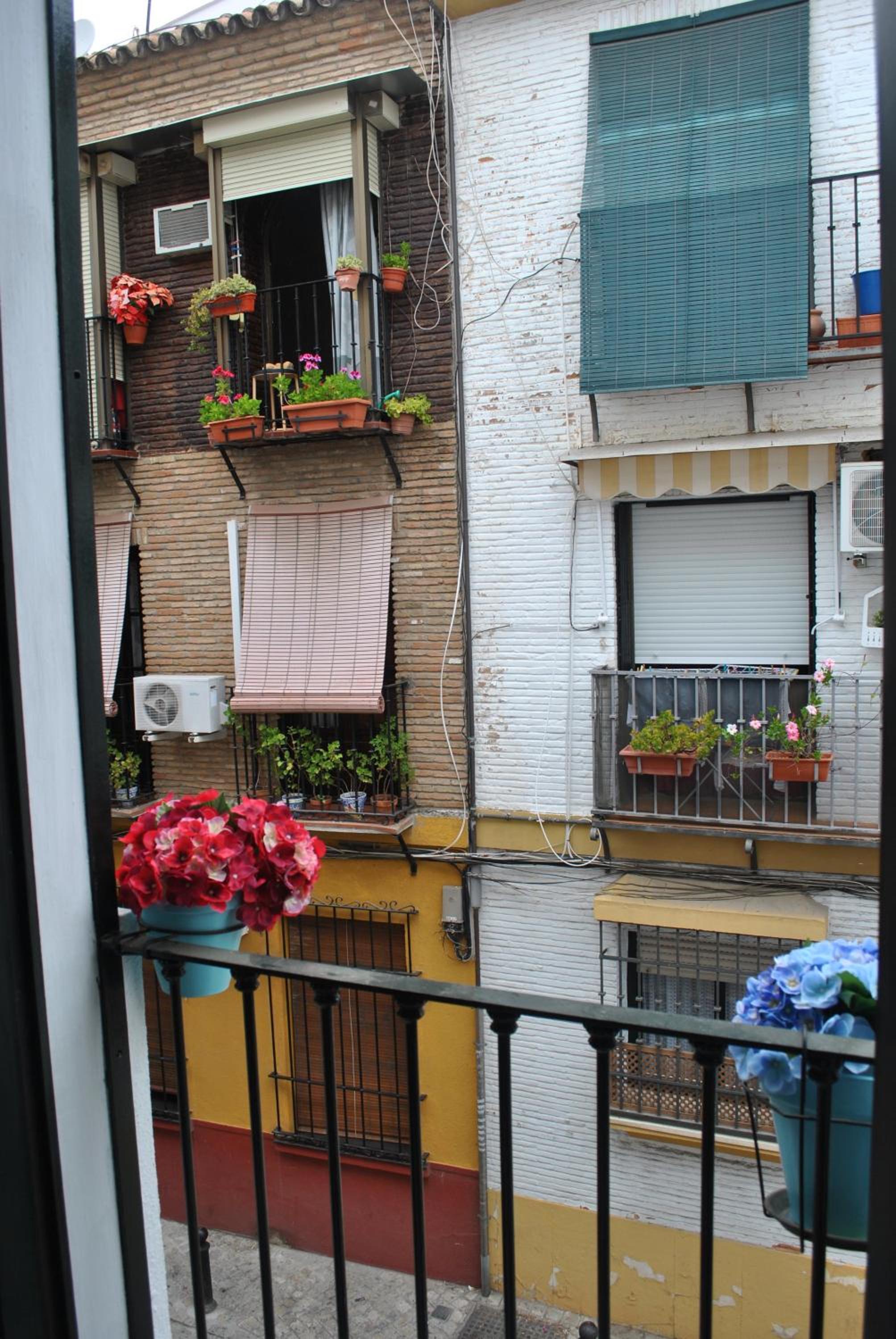Photo 44