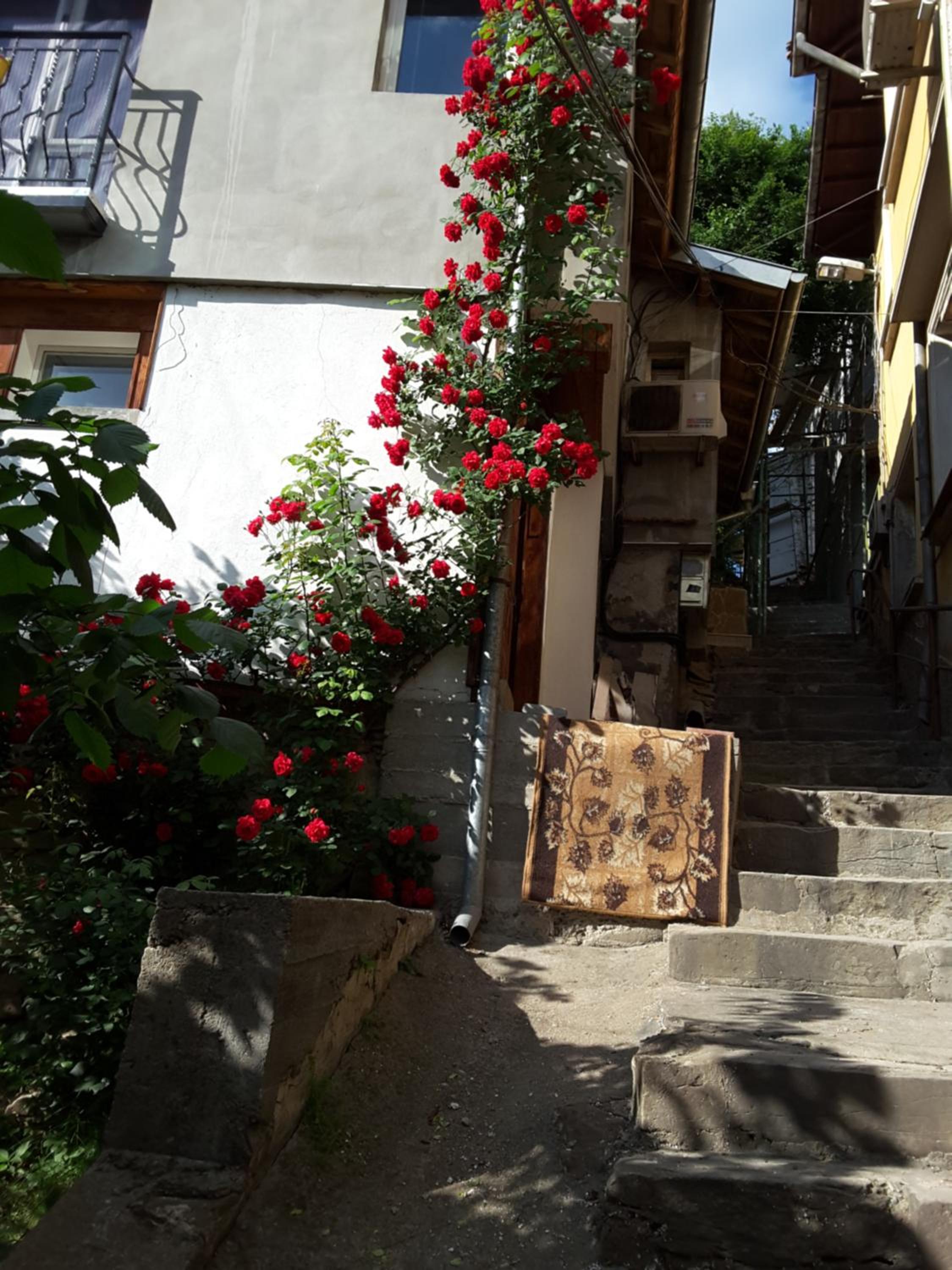 Diana Guesthouse