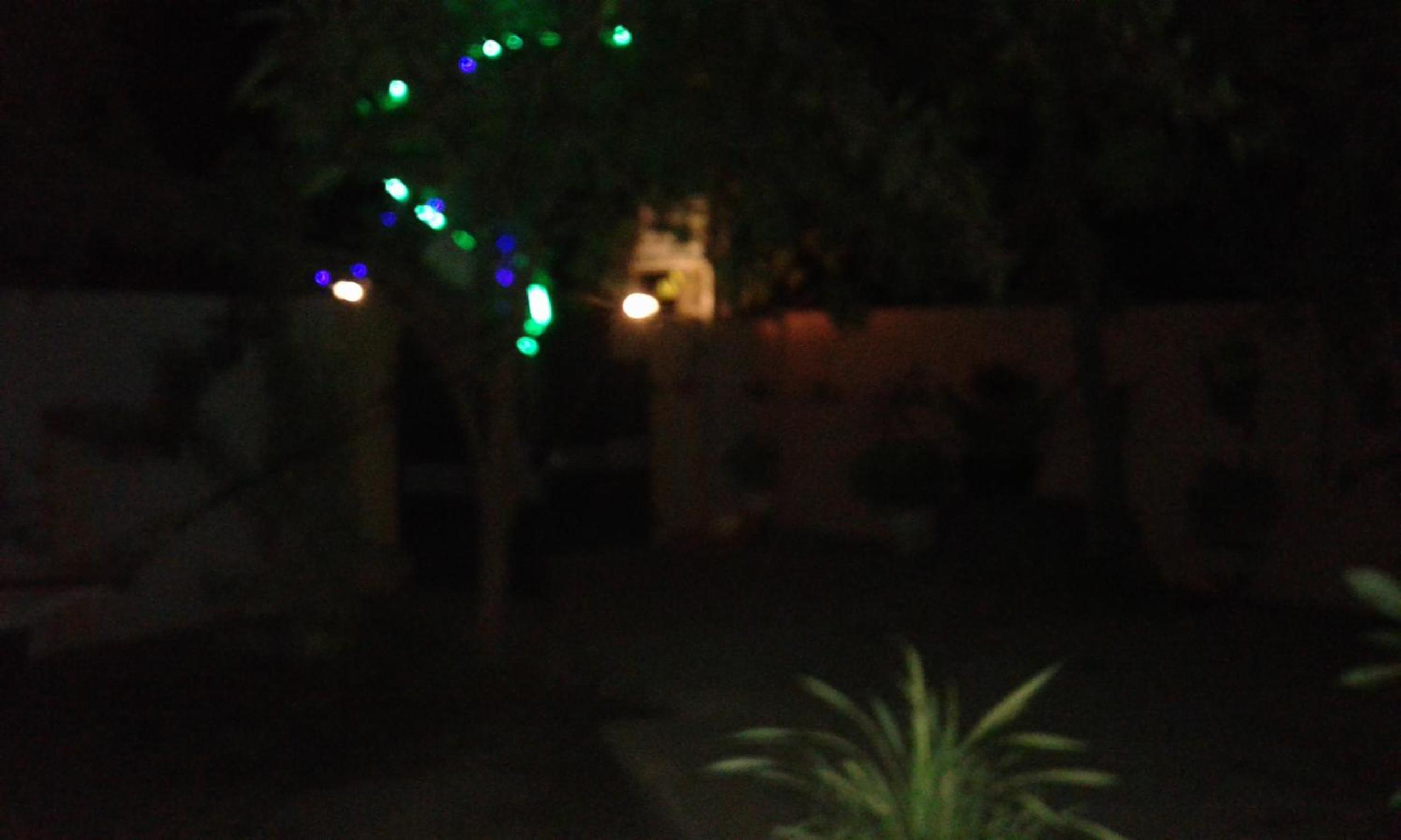 Photo 62
