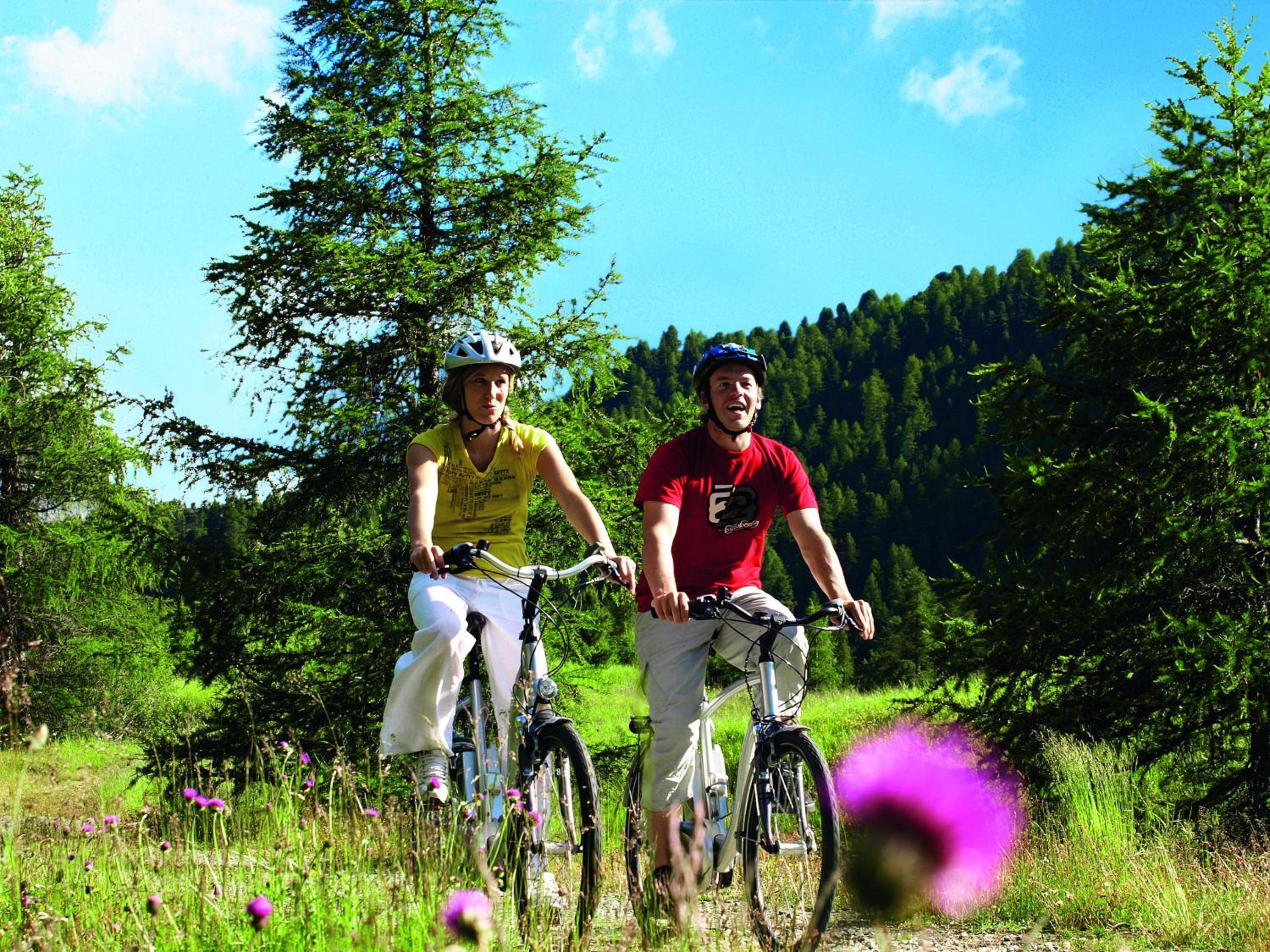 Haus Brigitte