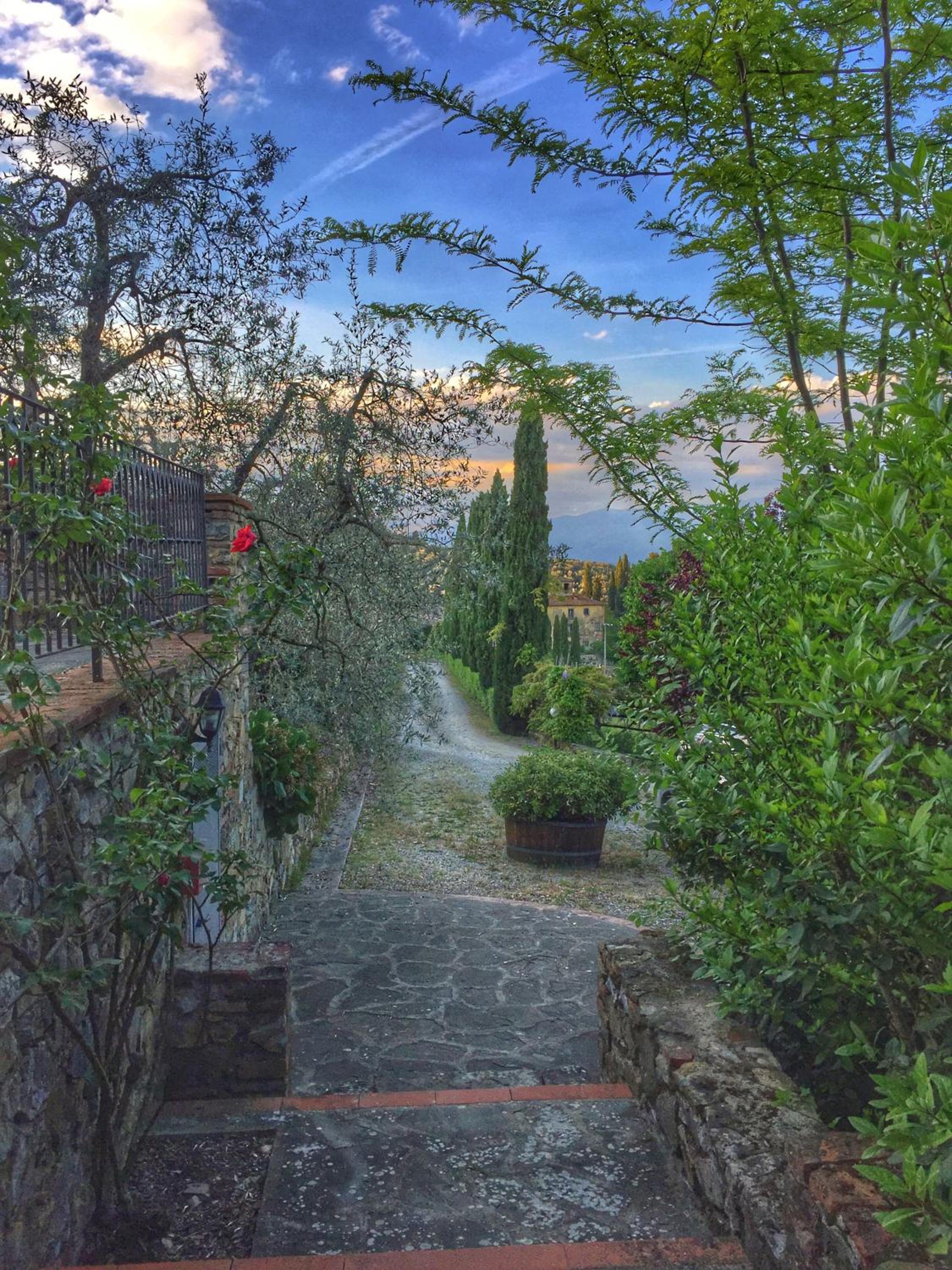 Tenuta Lupinari