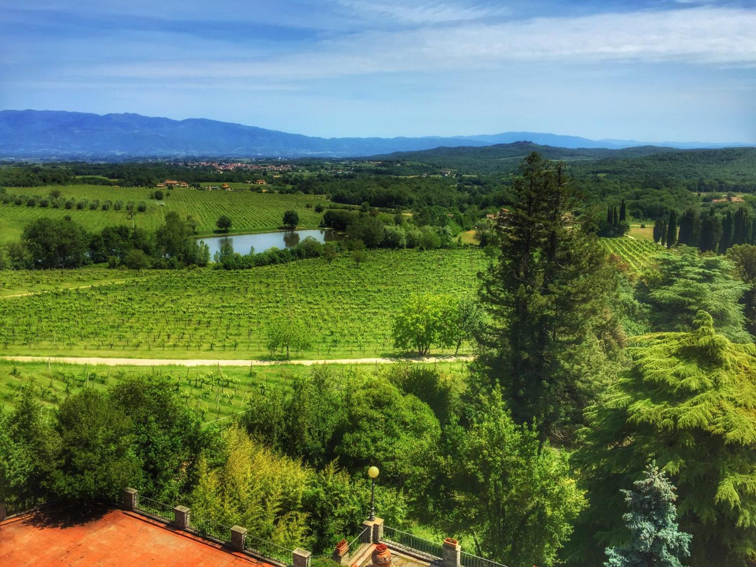 Tenuta Lupinari