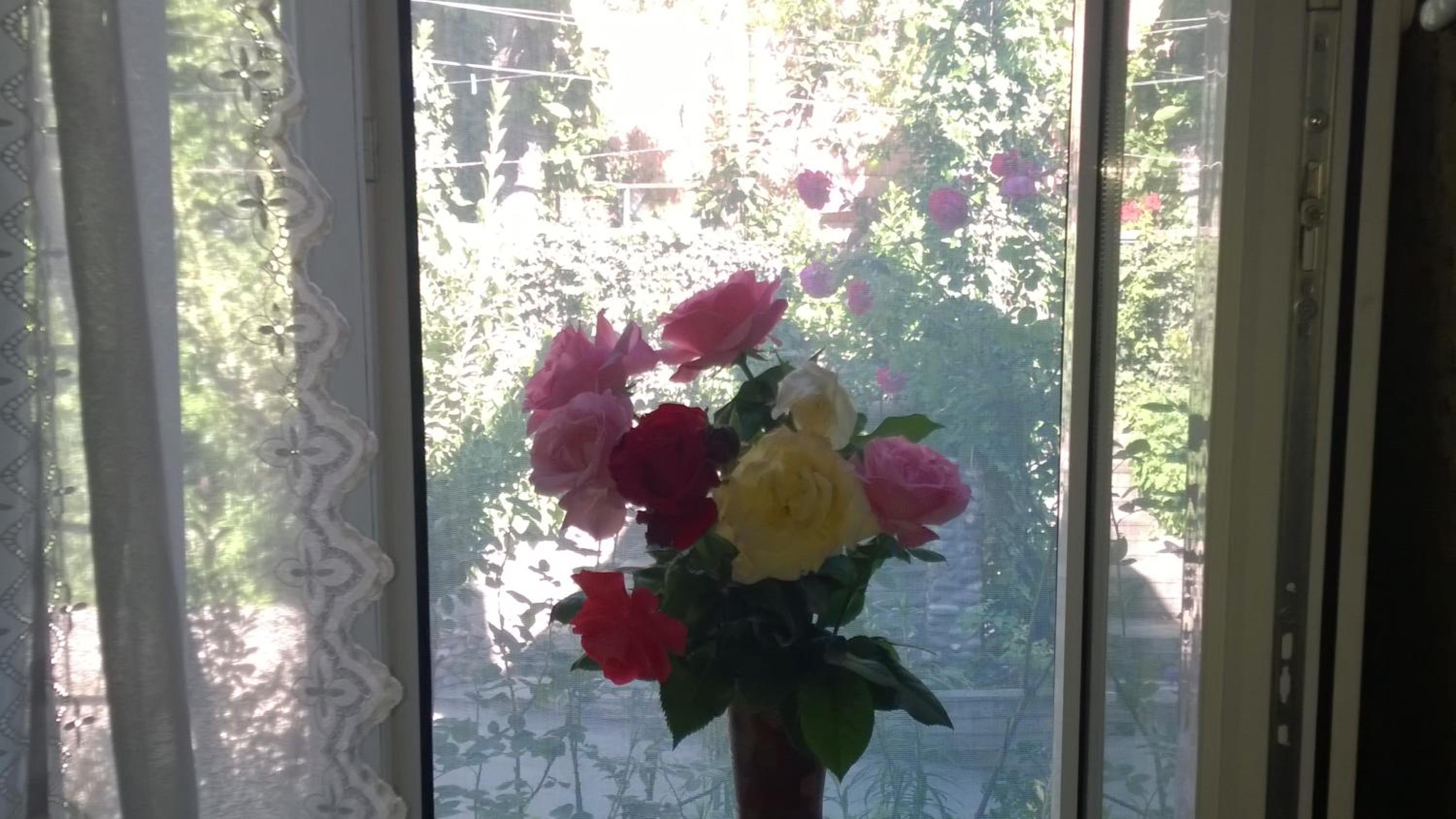 Photo 35