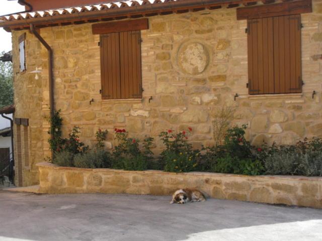 other