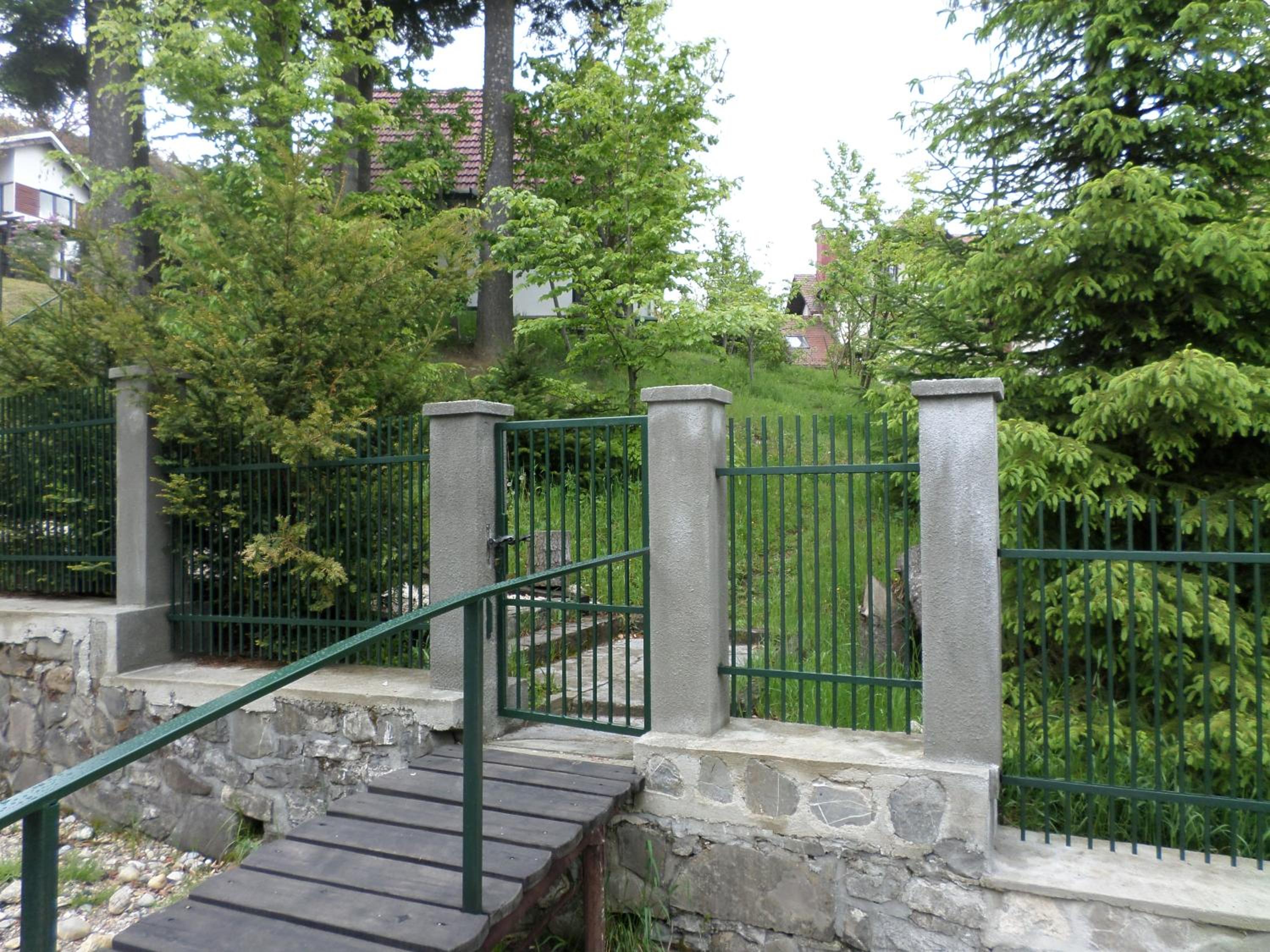 Photo 11