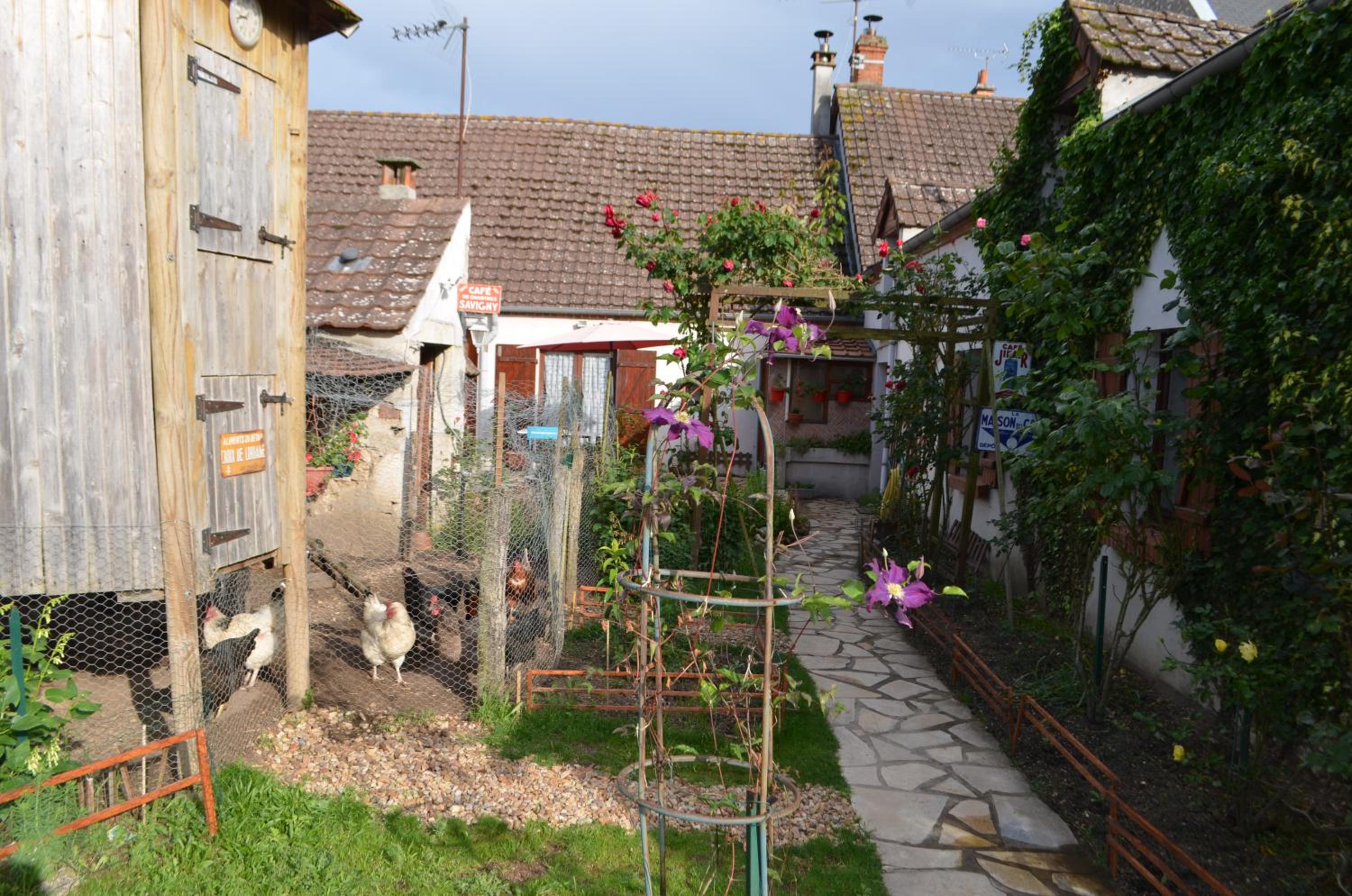 Photo 31