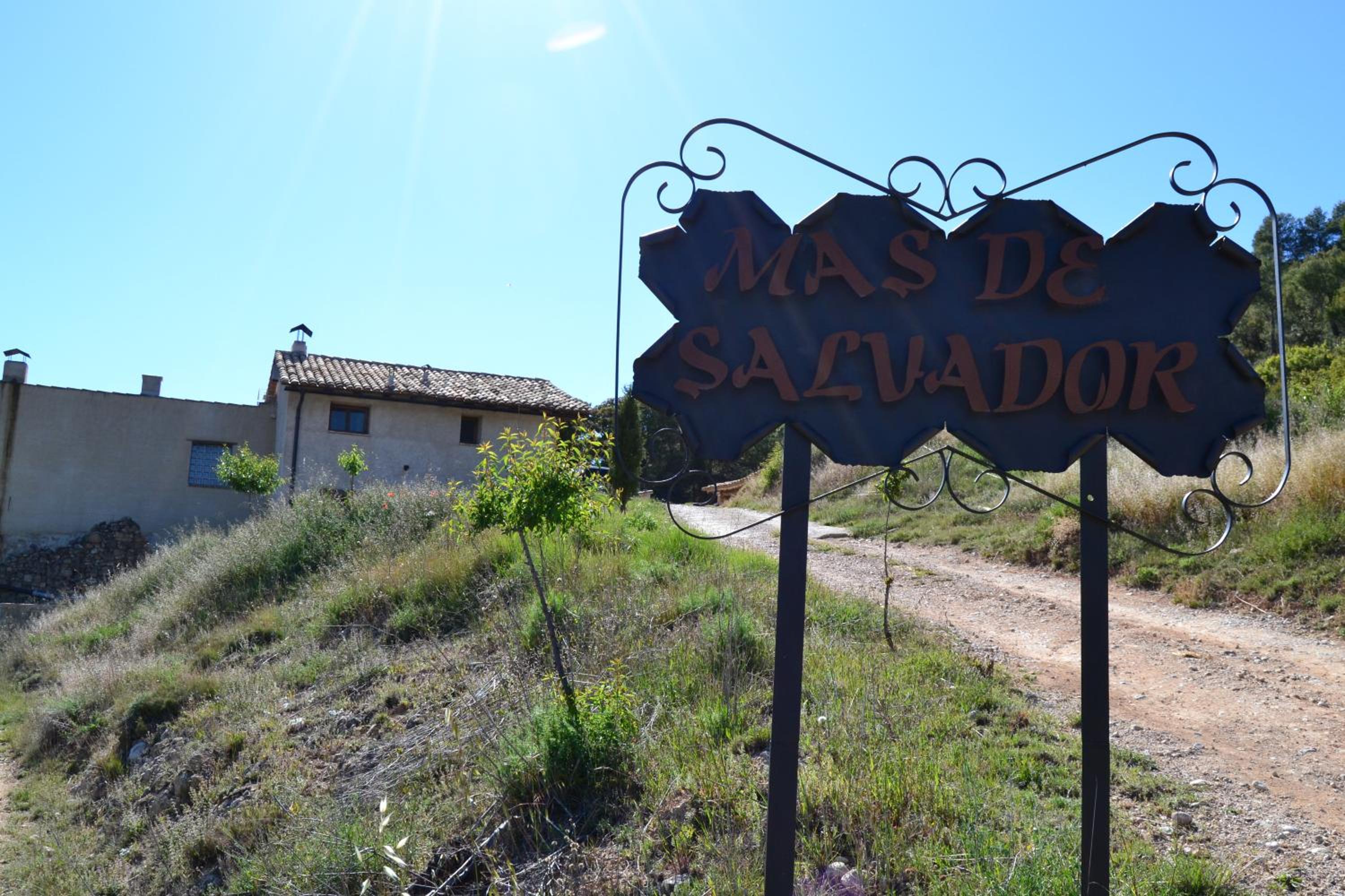 Mas de Salvador