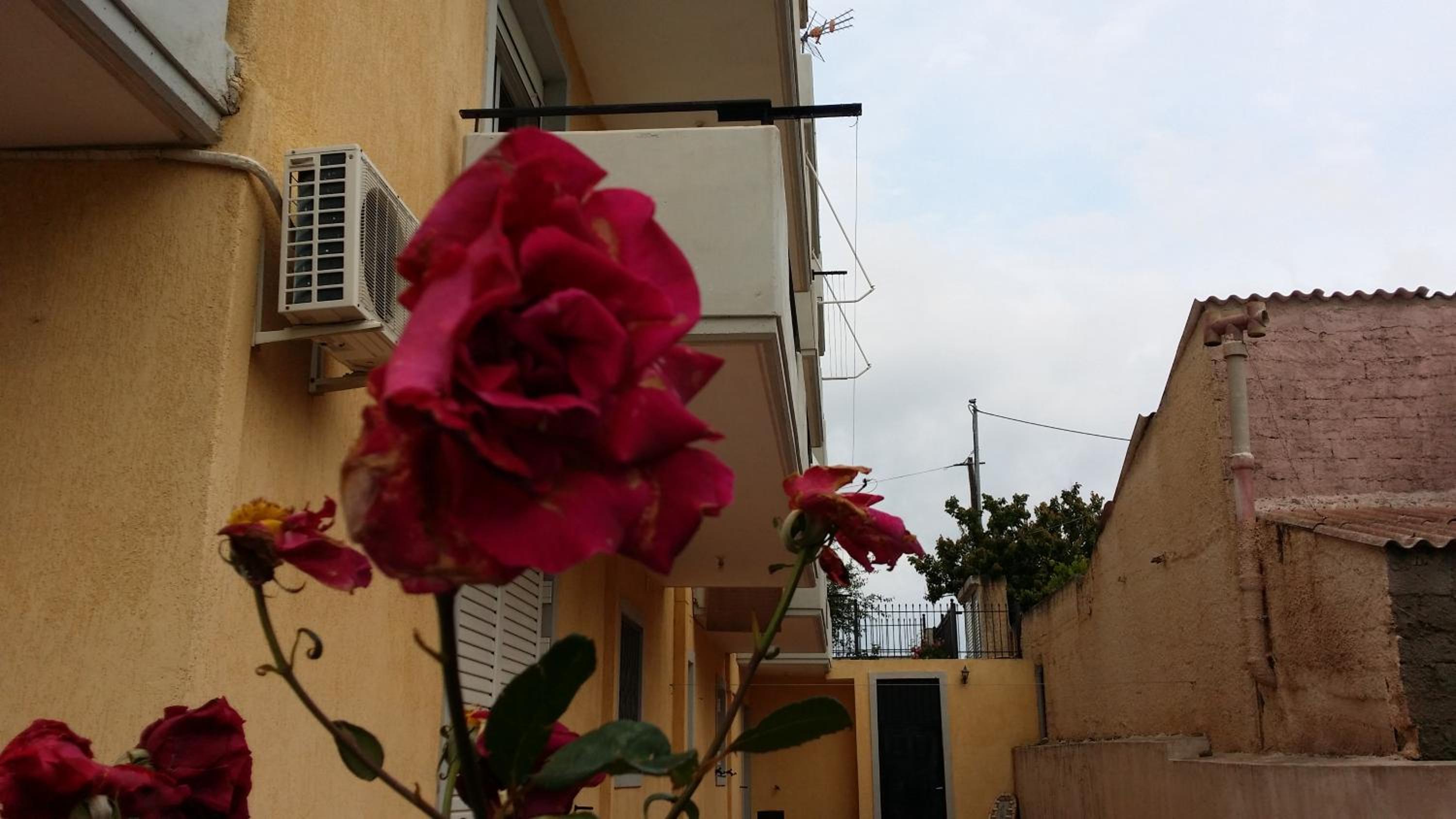Photo 42