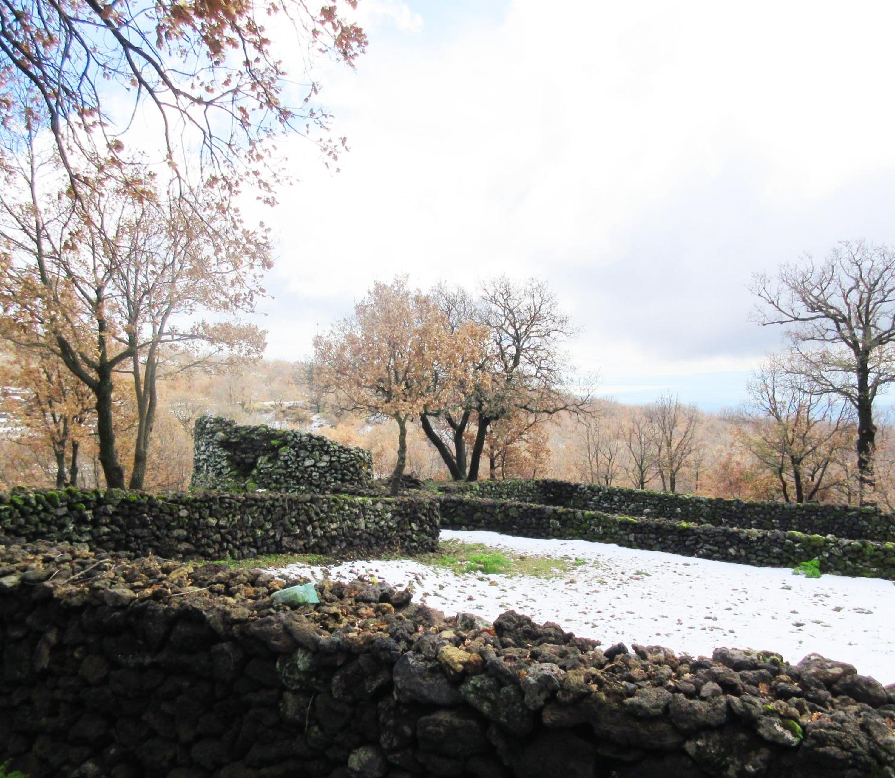 Photo 42