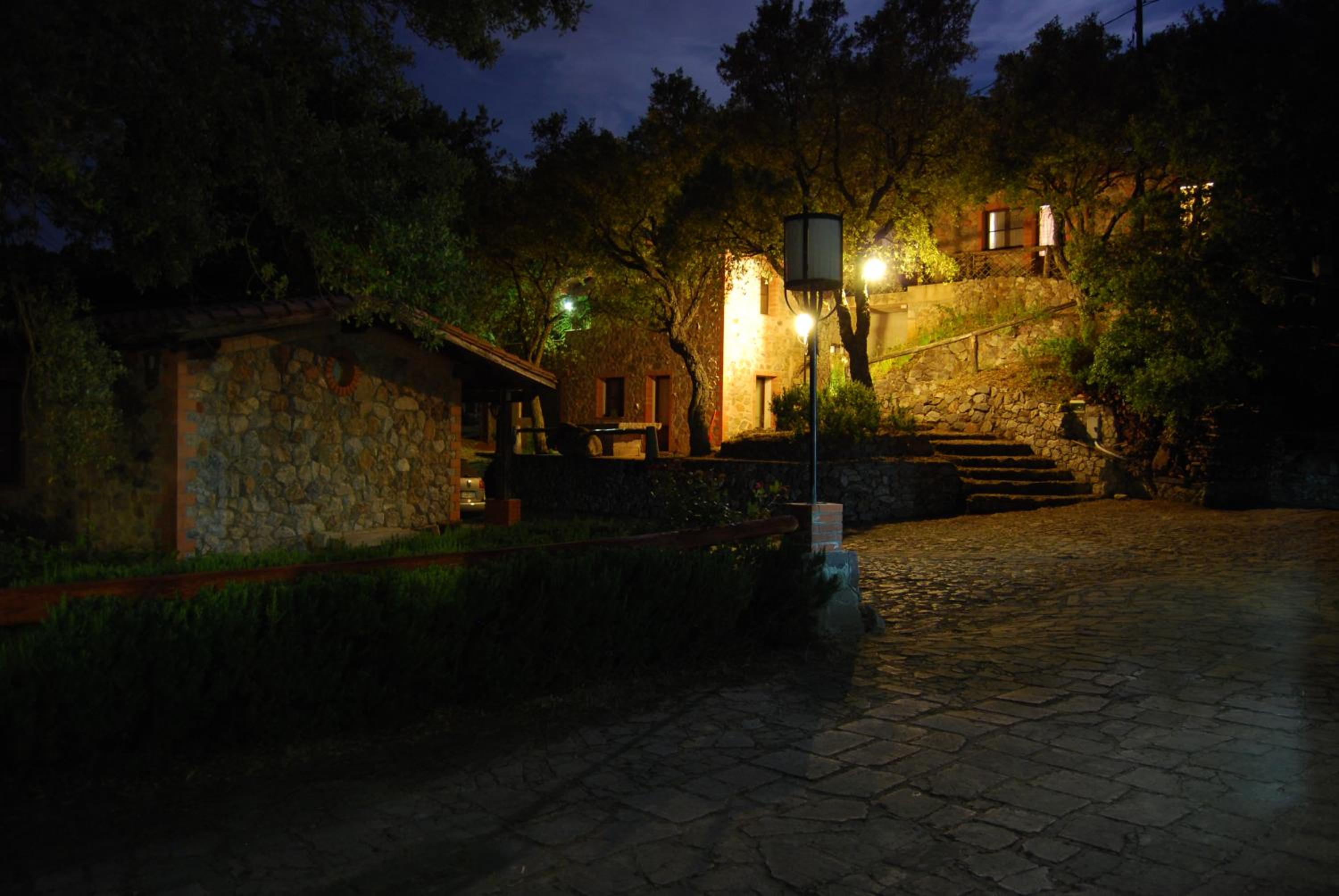 Photo 29