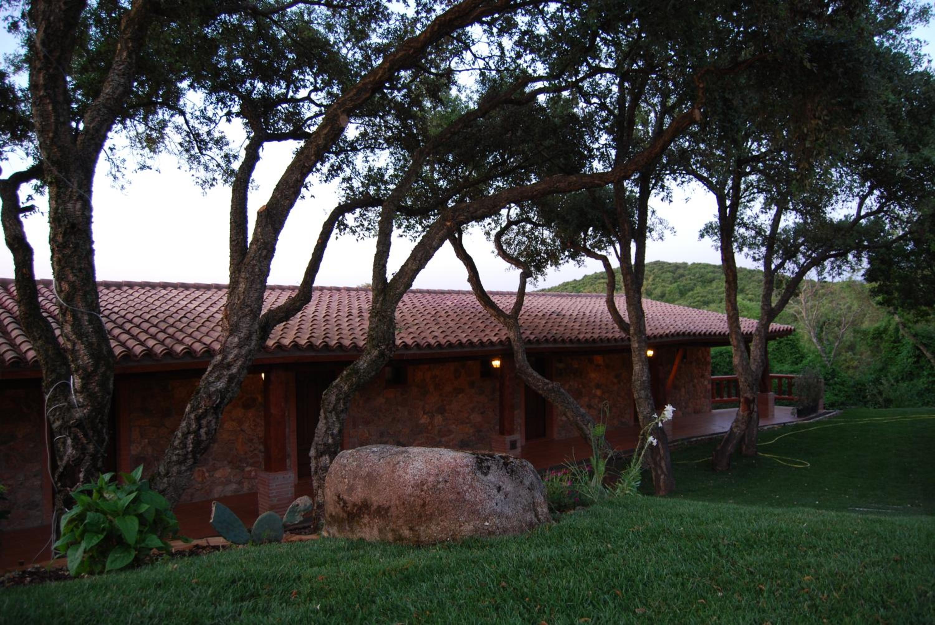 Photo 43