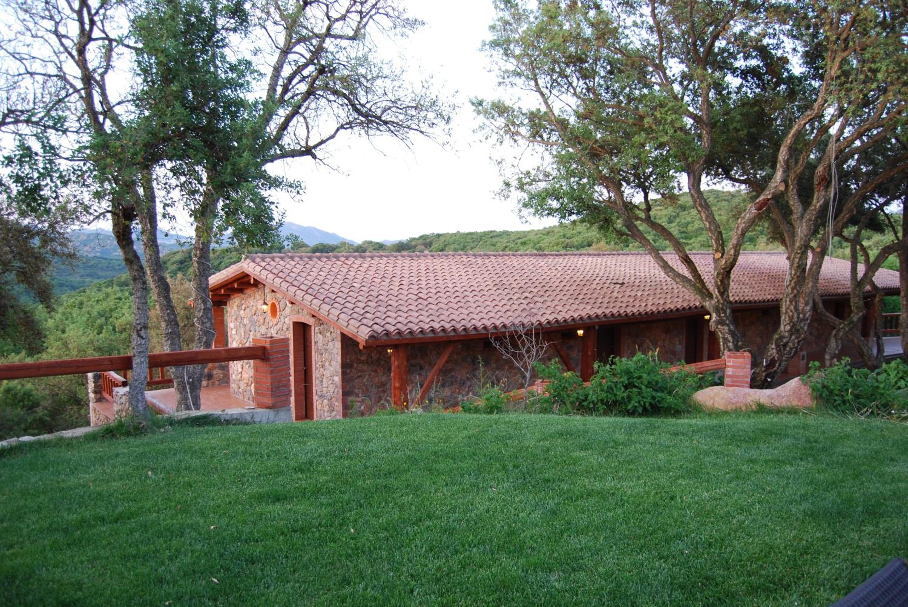 Photo 41