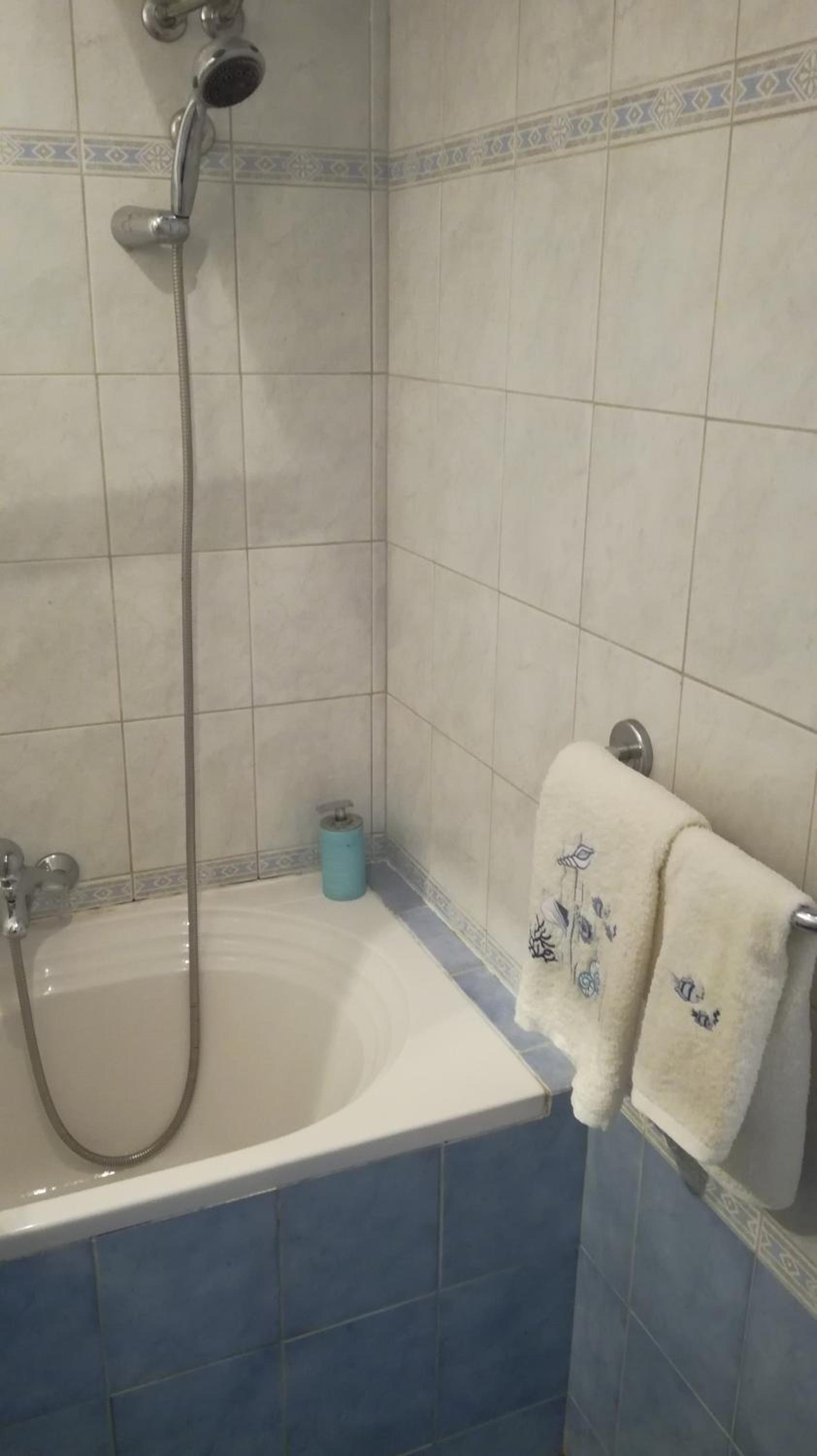 Apartma Ema view 5