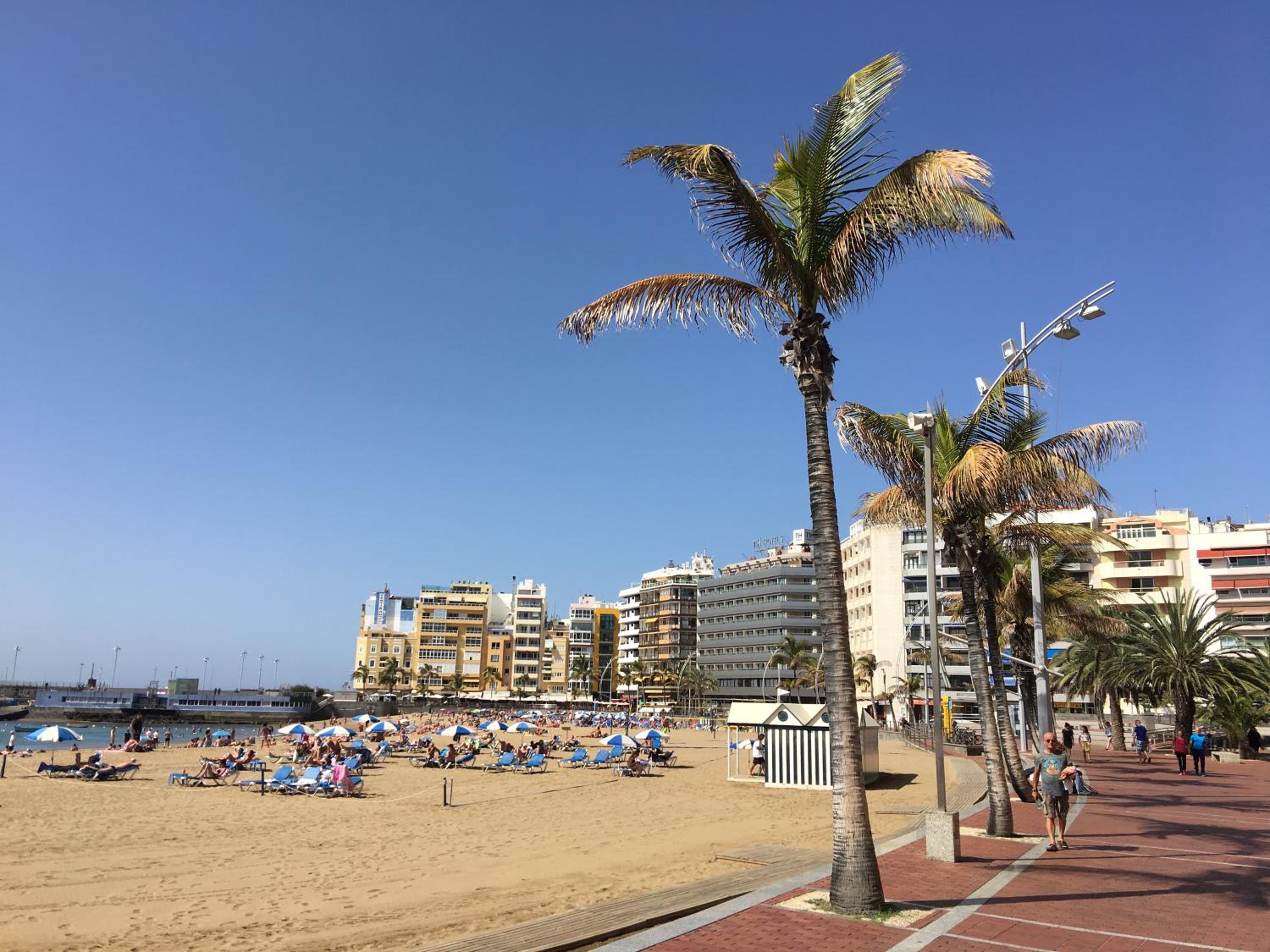 Las Palmas Penthouse view 3