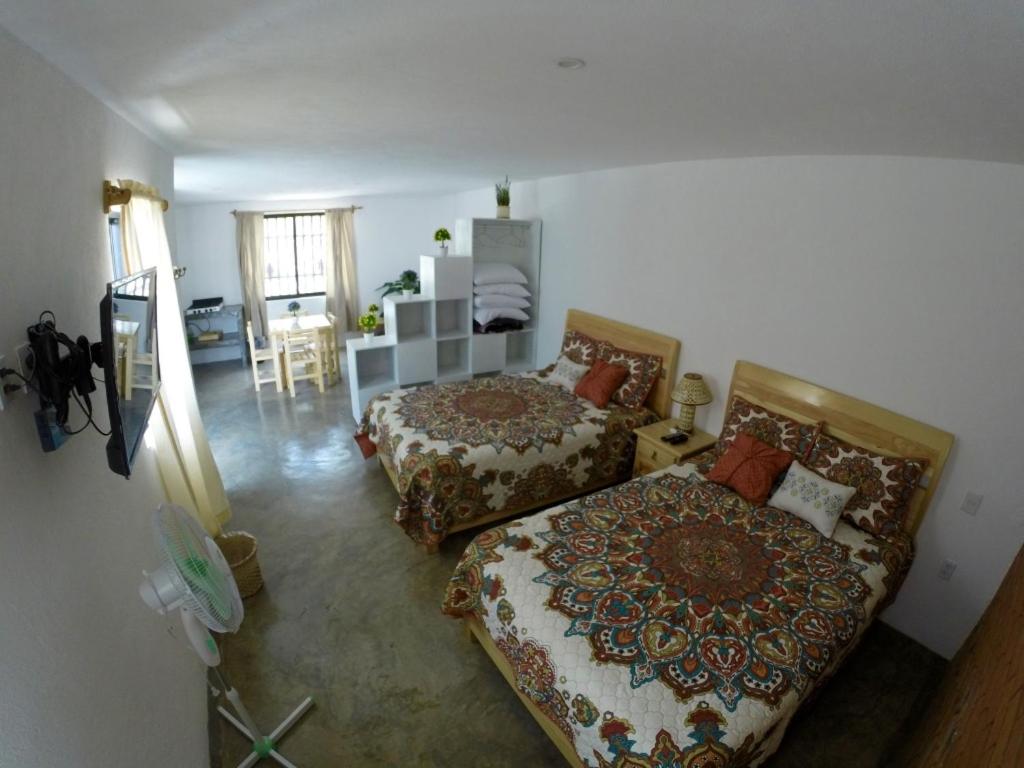 Photo 19