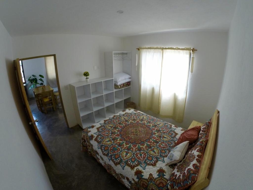 Photo 25