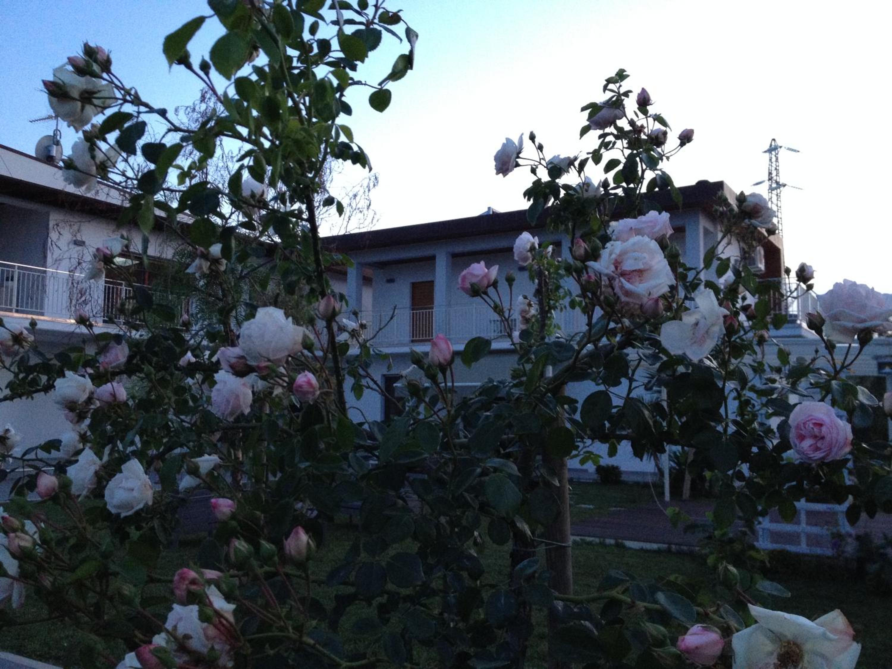 Gioia In Collina