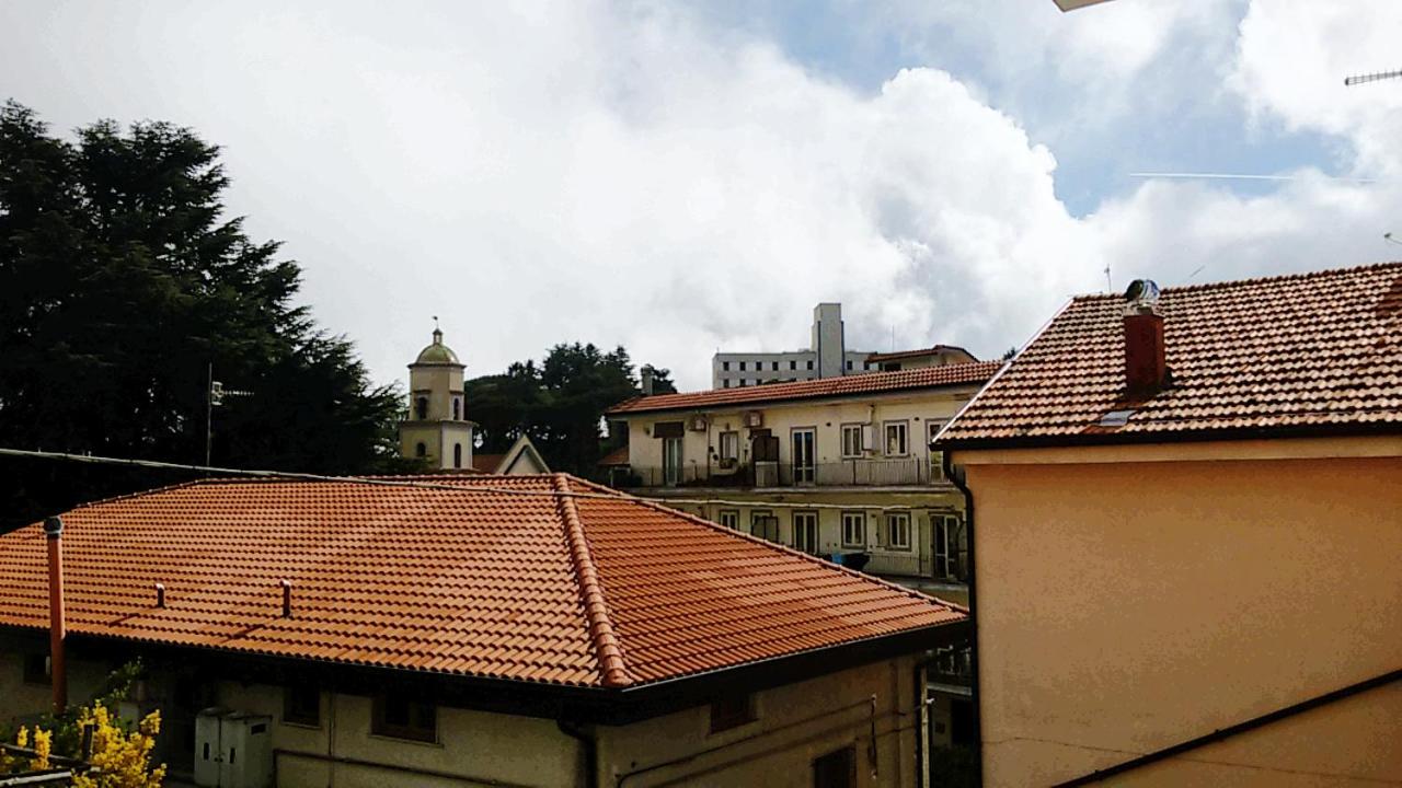 Photo 48