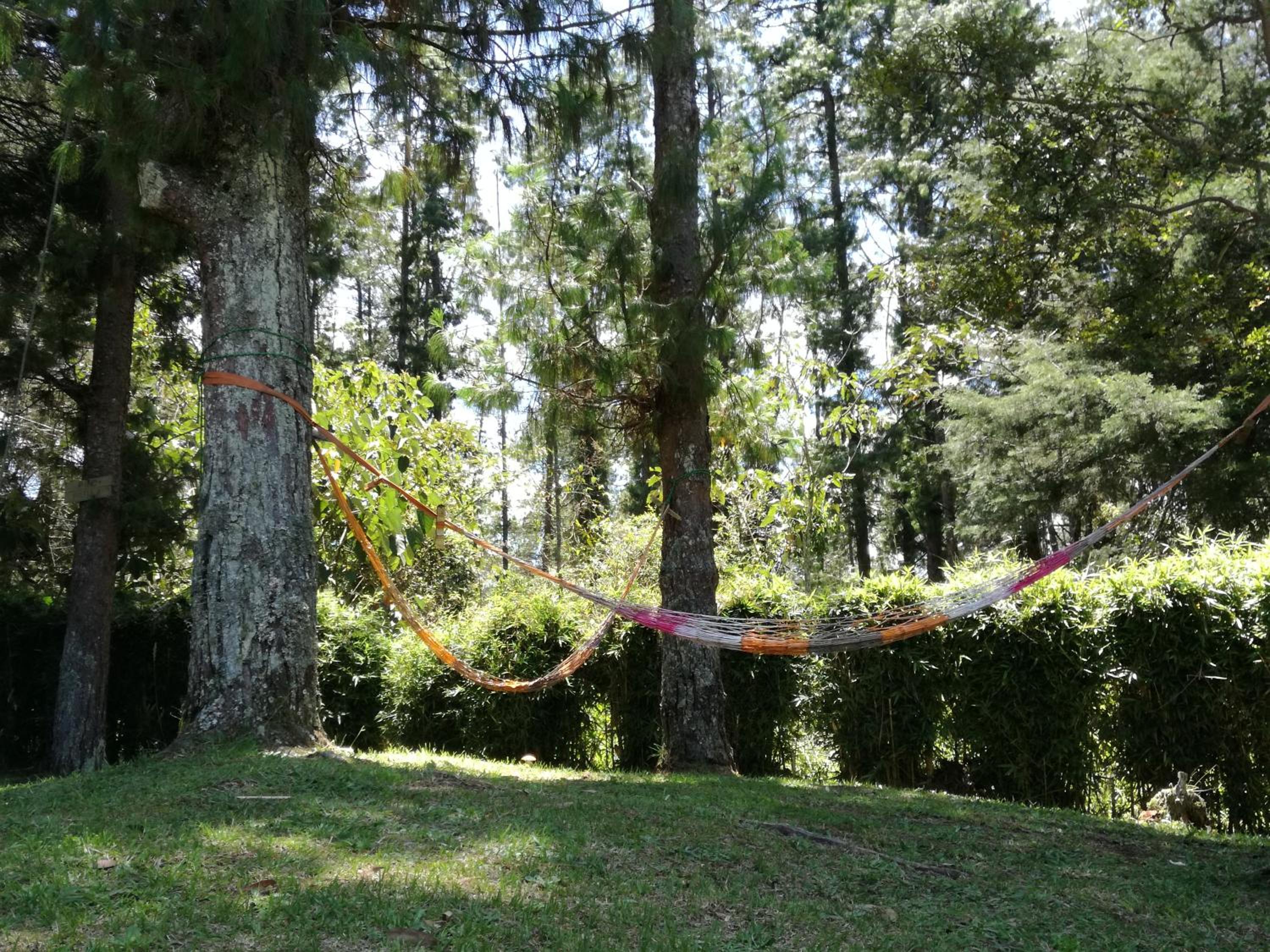 Al Bosque Hostel & Glamping