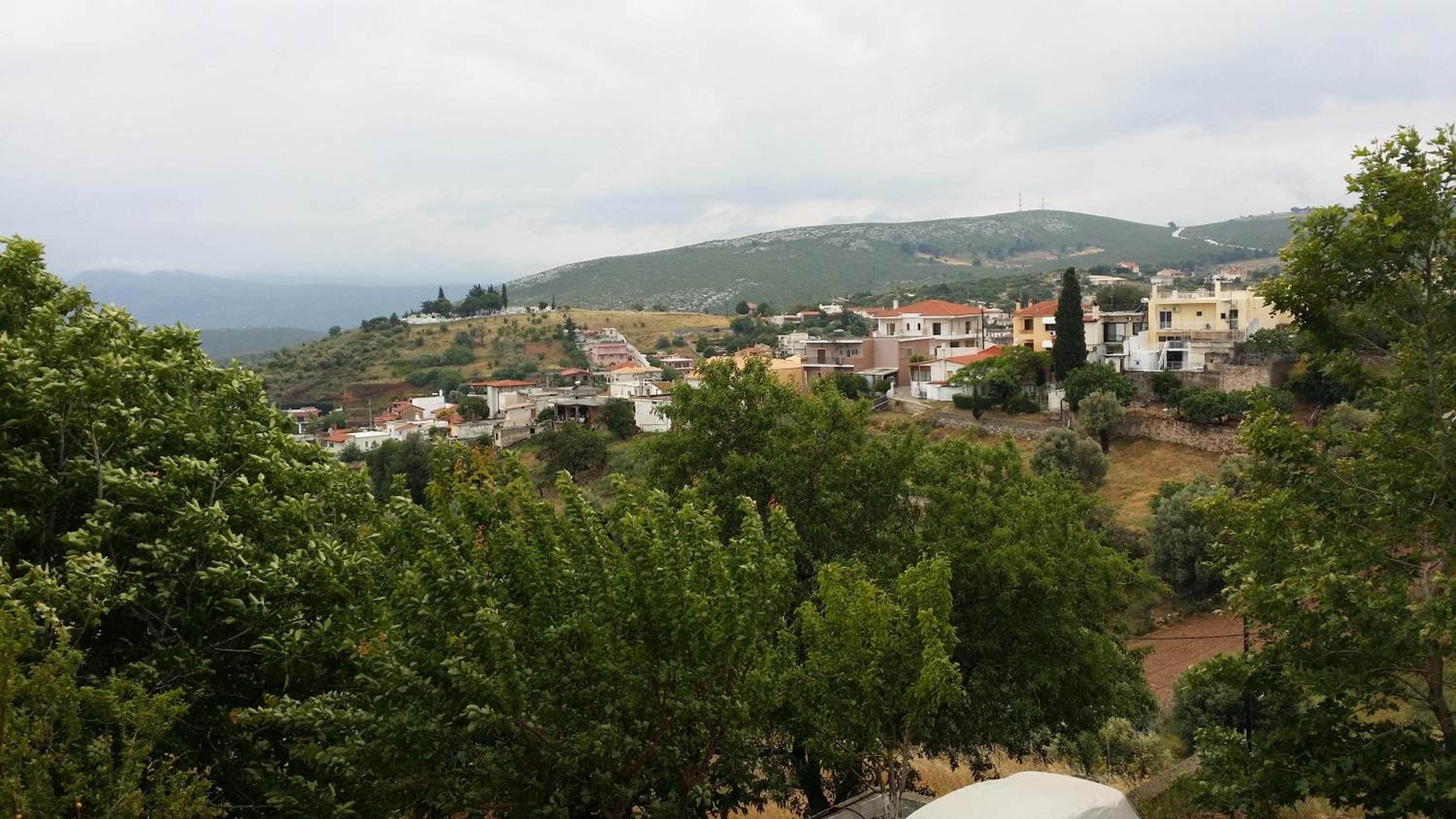 Photo 48