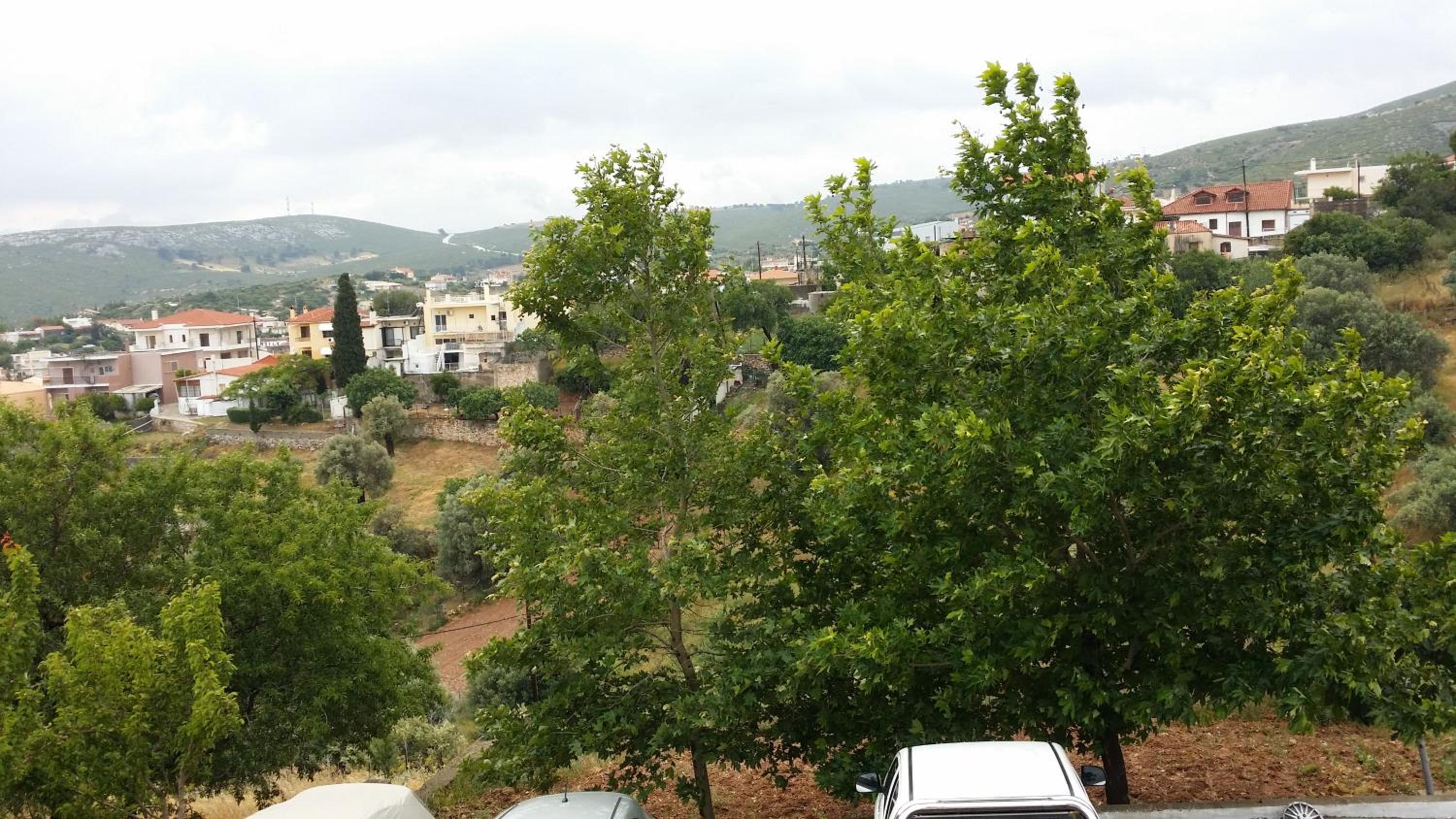 Photo 47