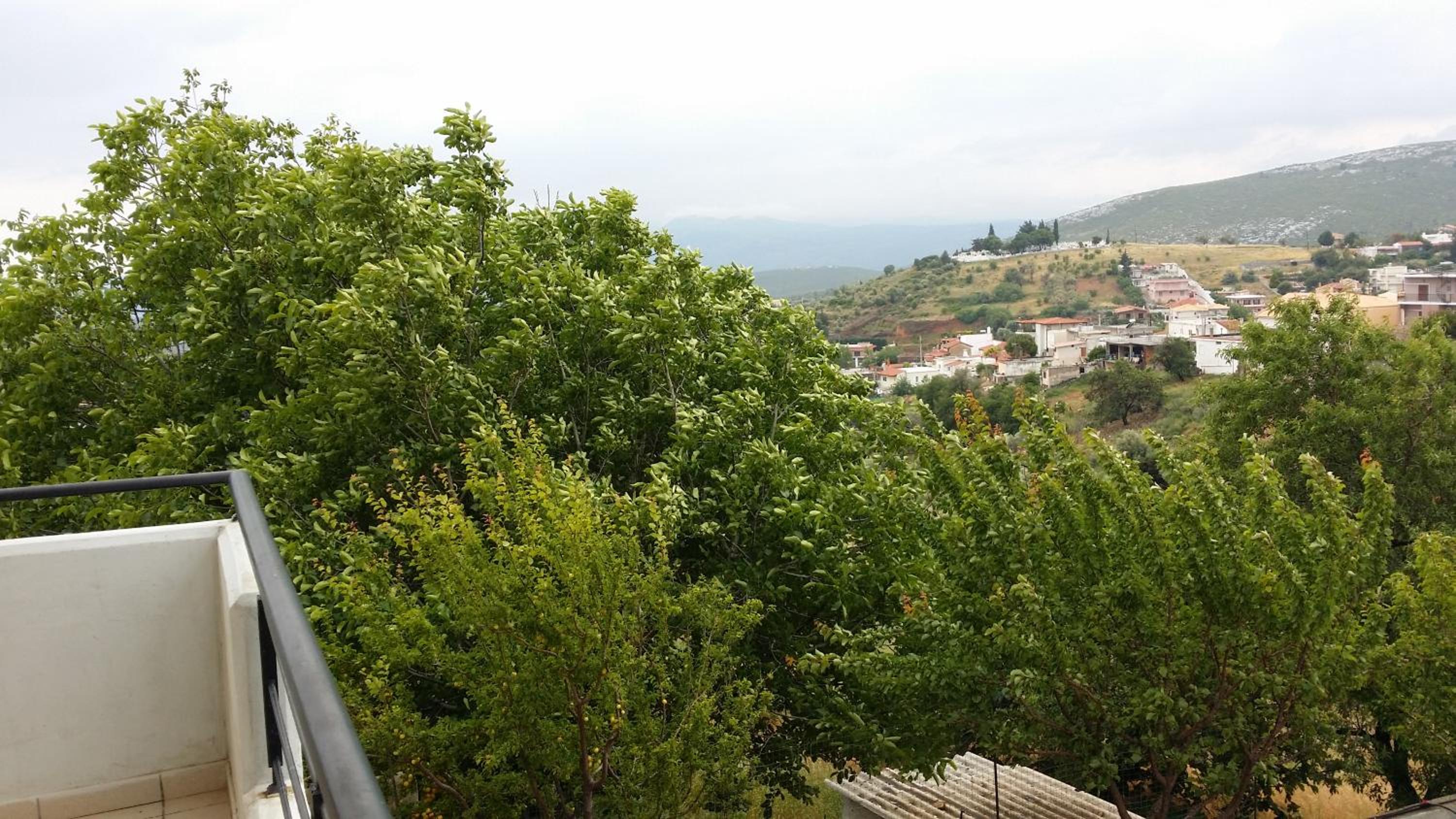 Photo 46