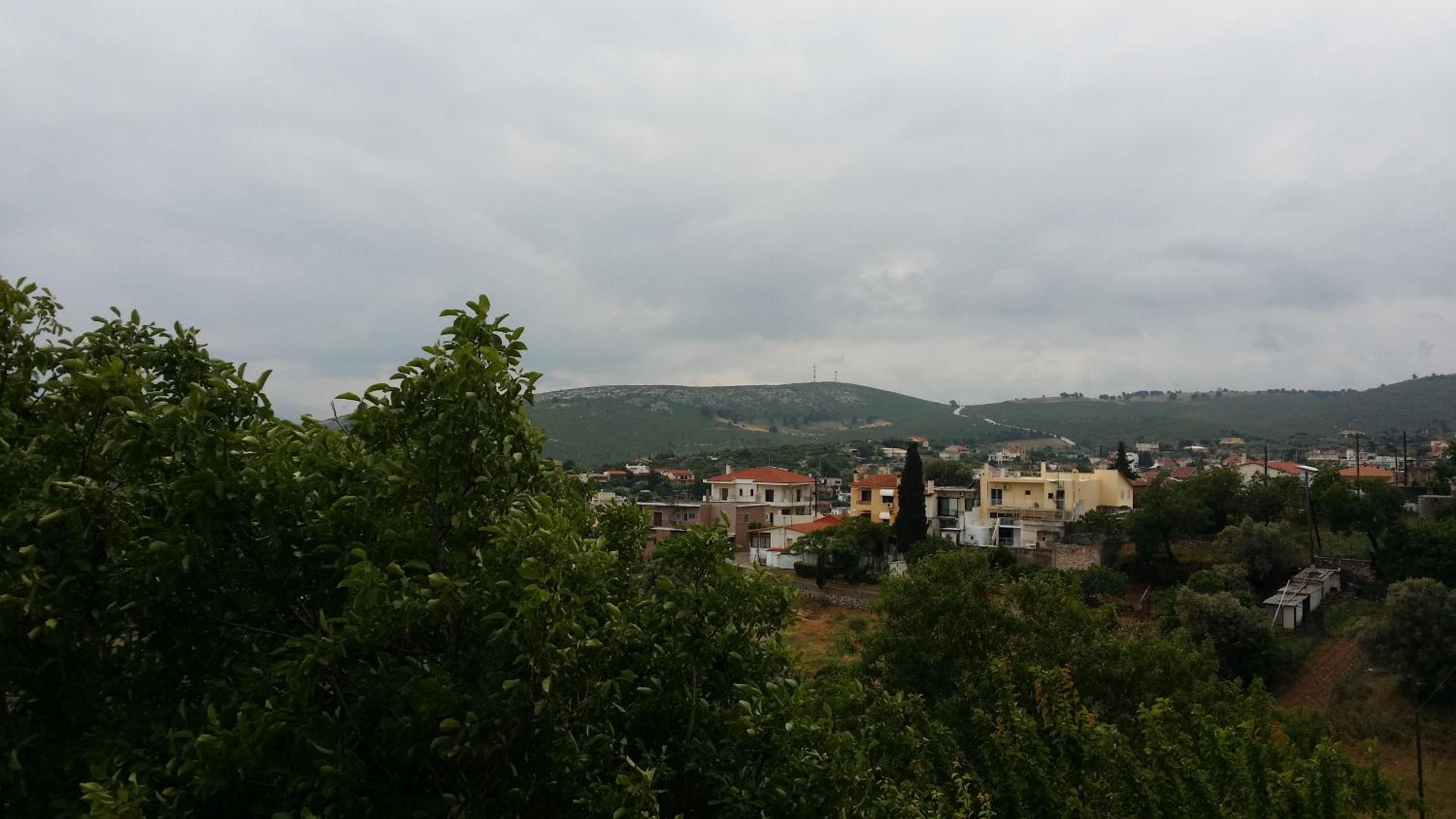 Photo 45