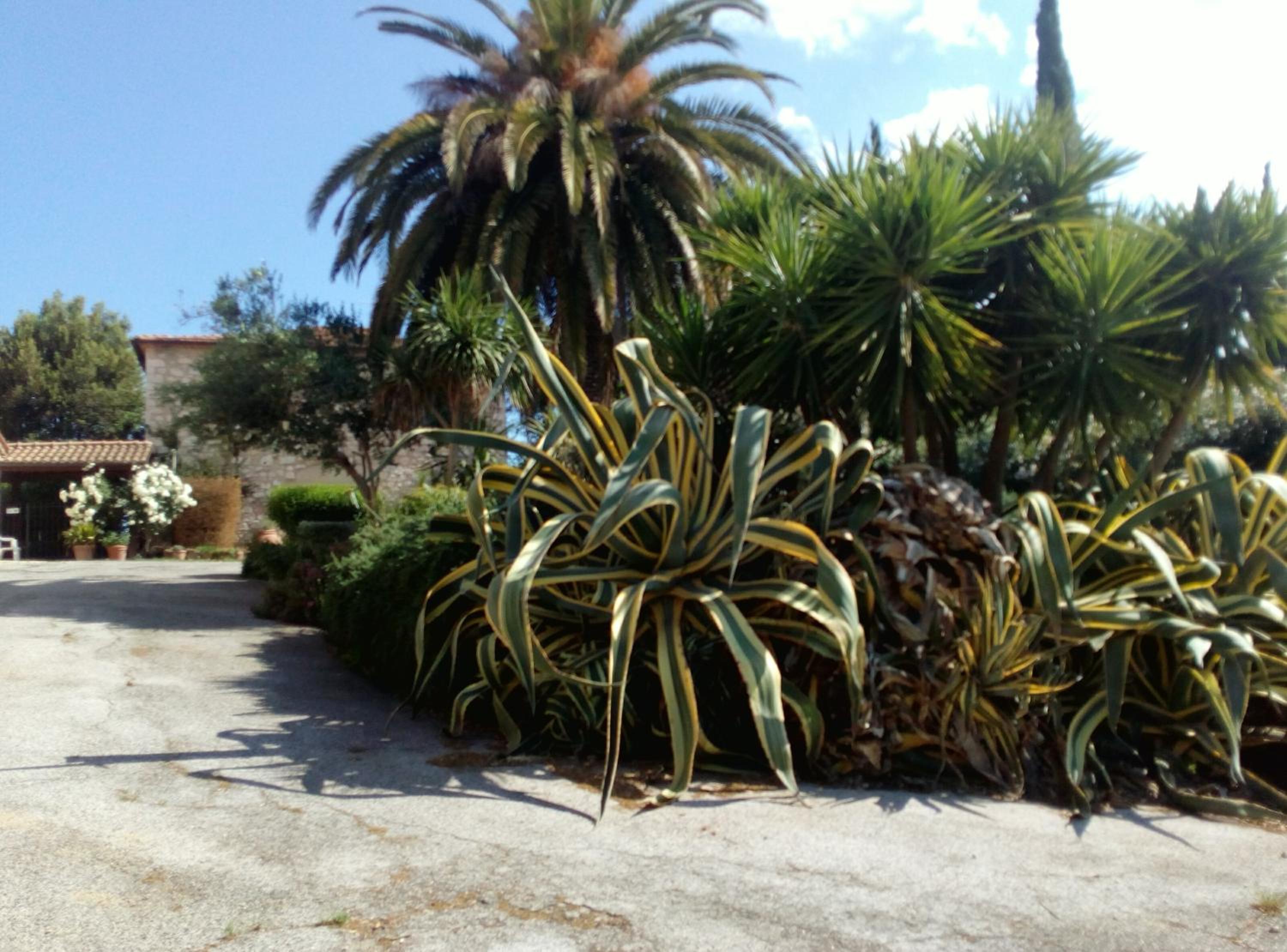Photo 48