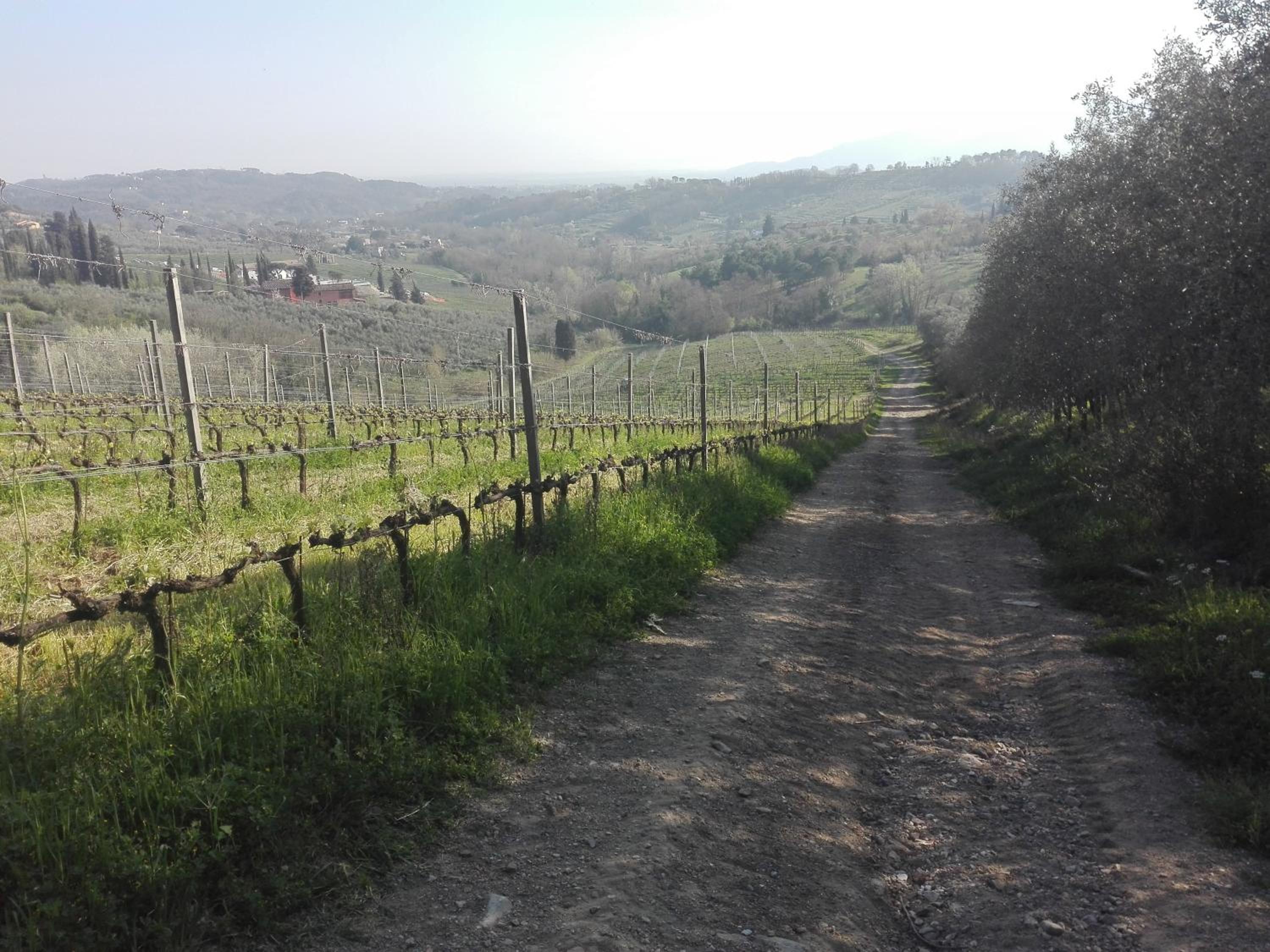 Fattoria di Fubbiano