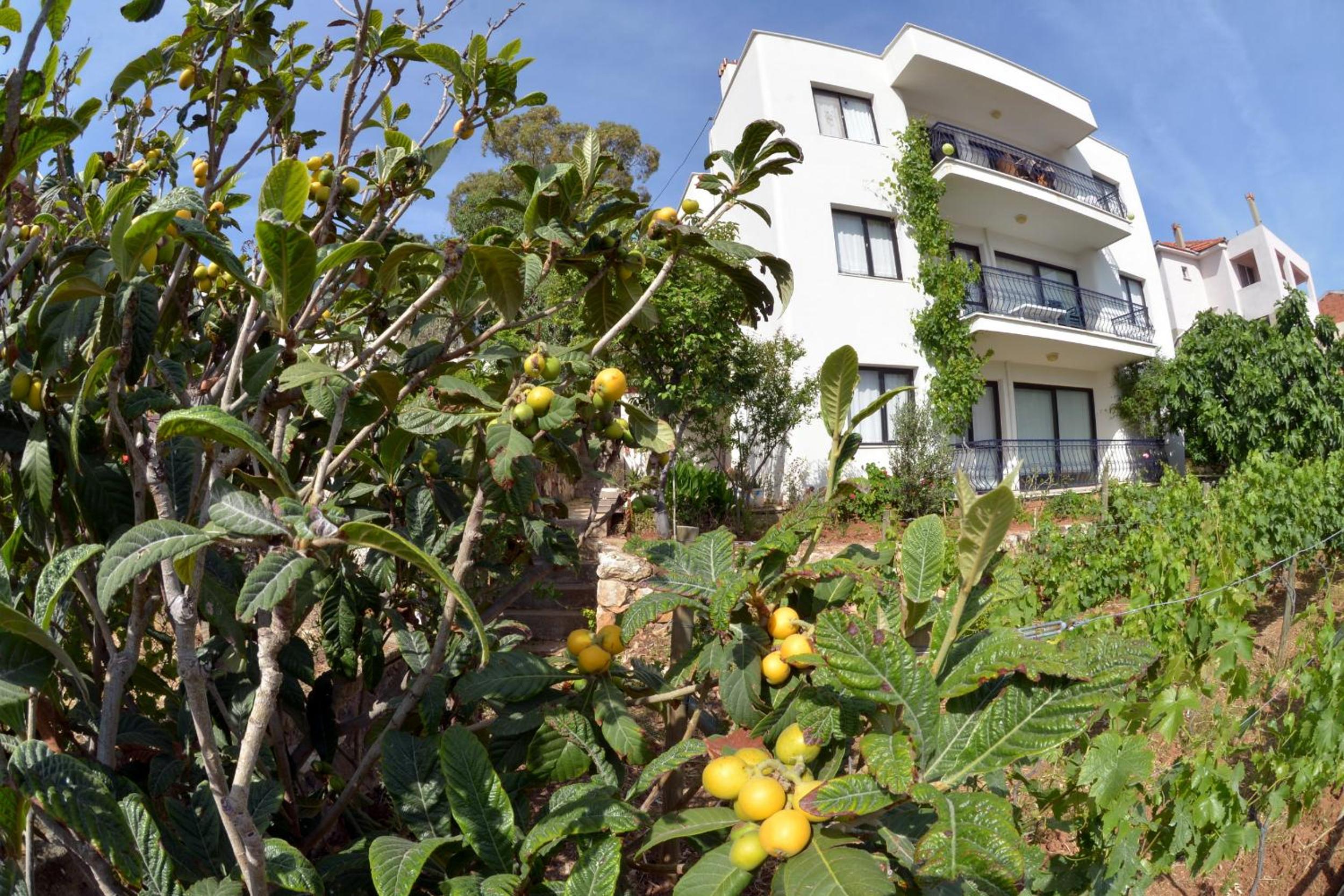 Mimas Garden Apartments view 3