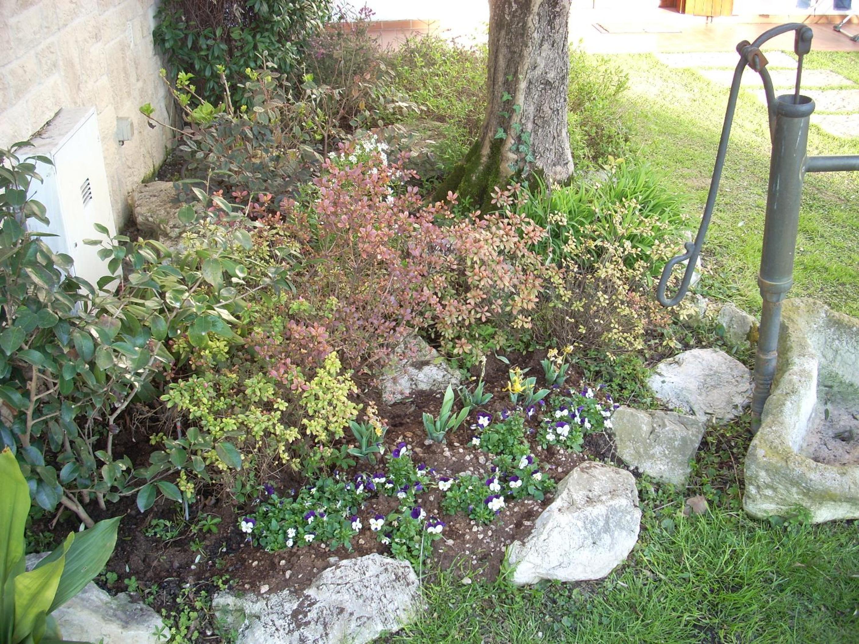Photo 6