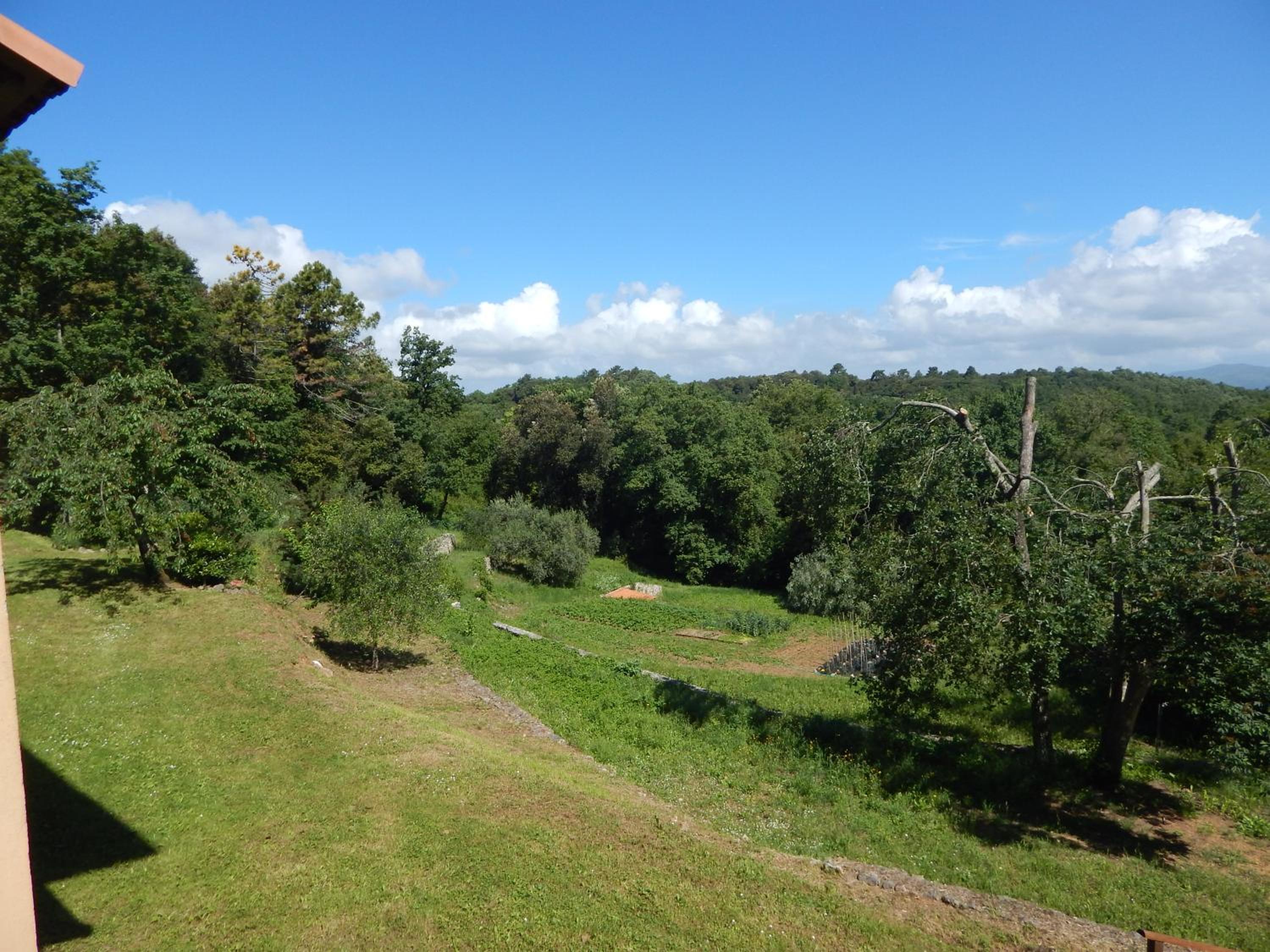 Photo 42