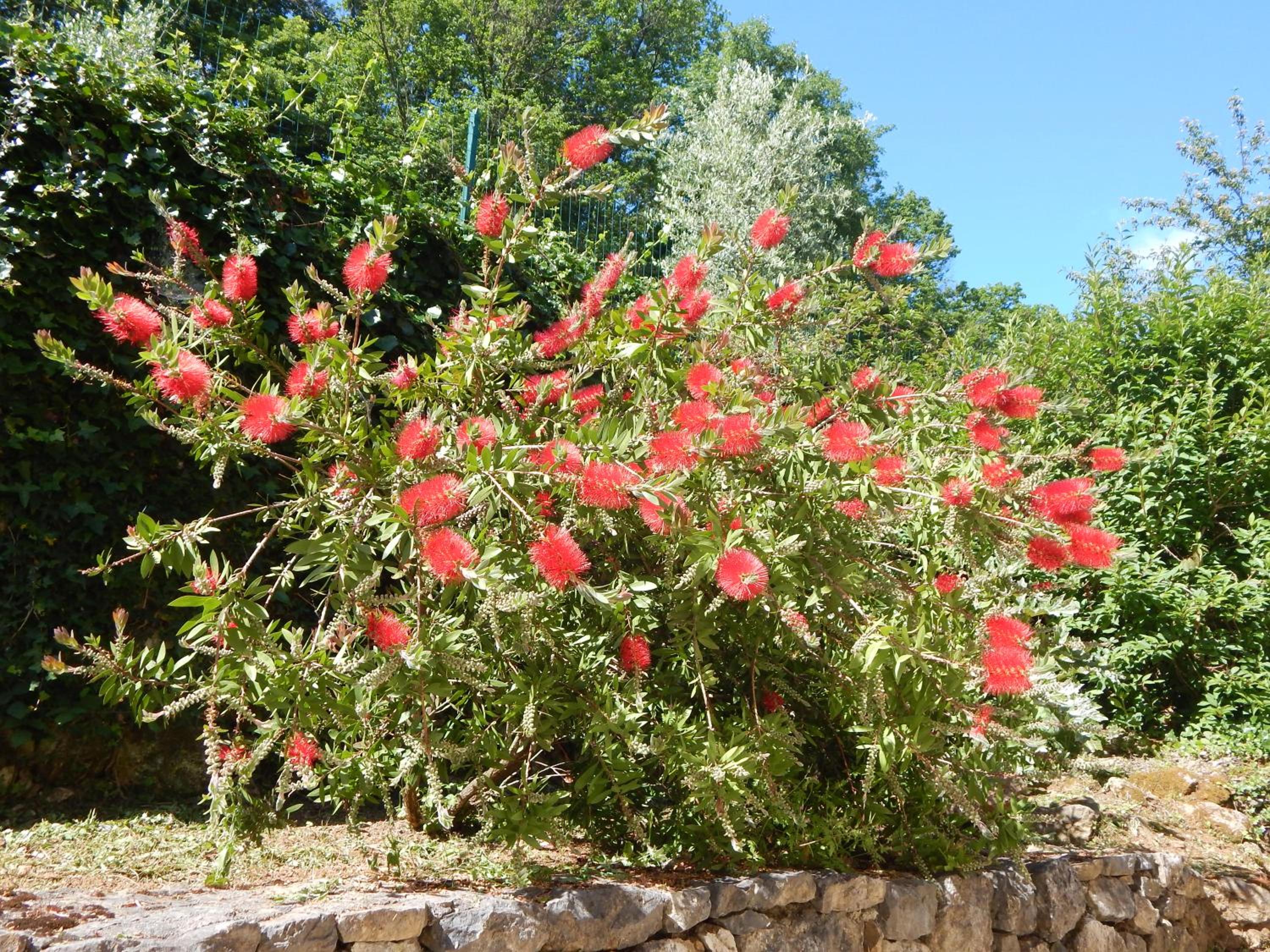 Photo 47