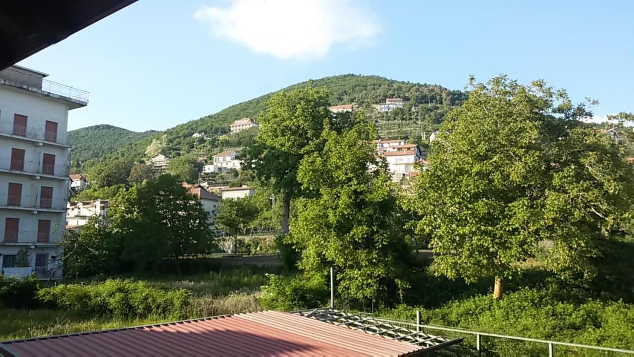 Photo 46