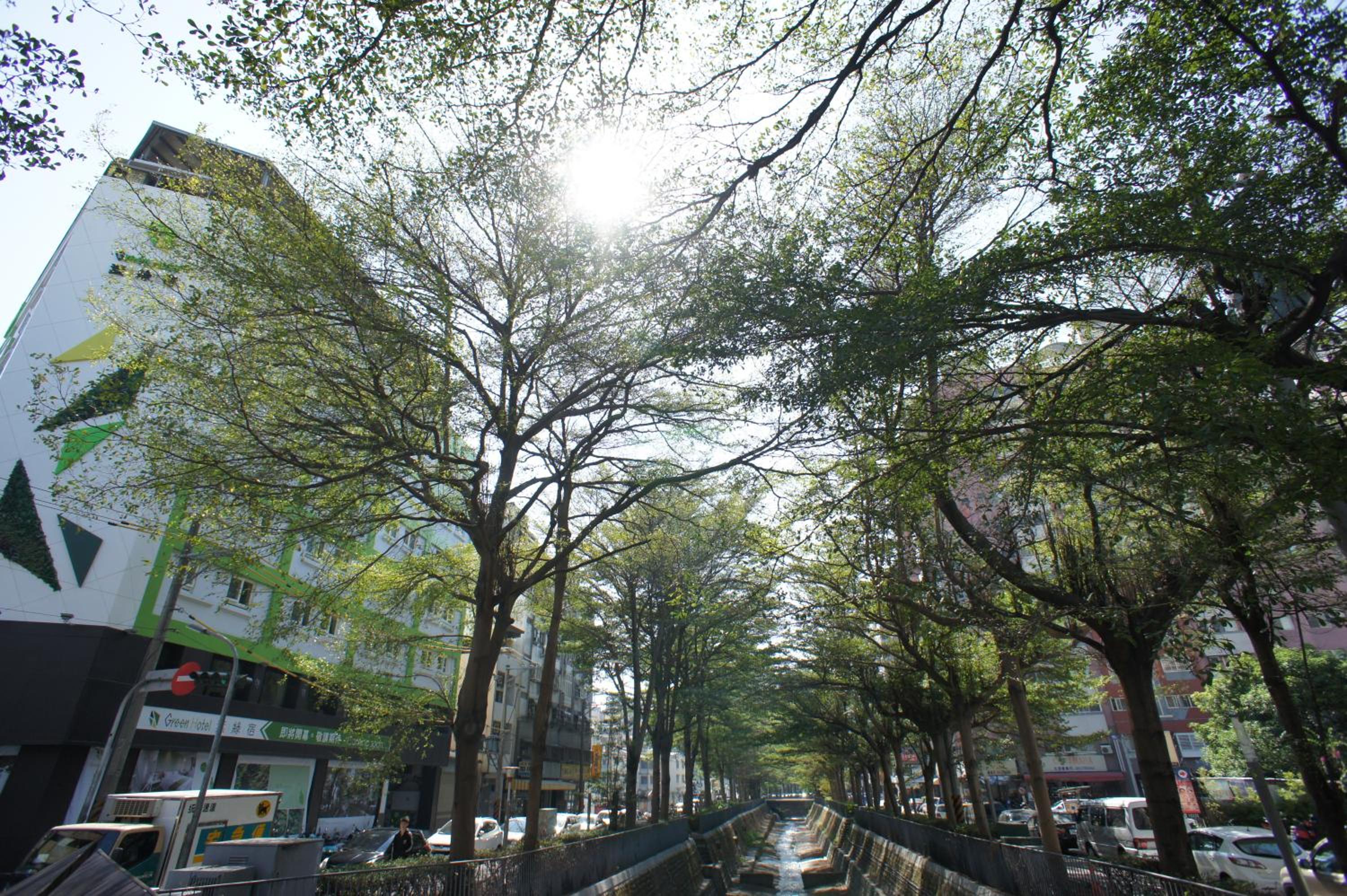Green Hotel - Fengjia