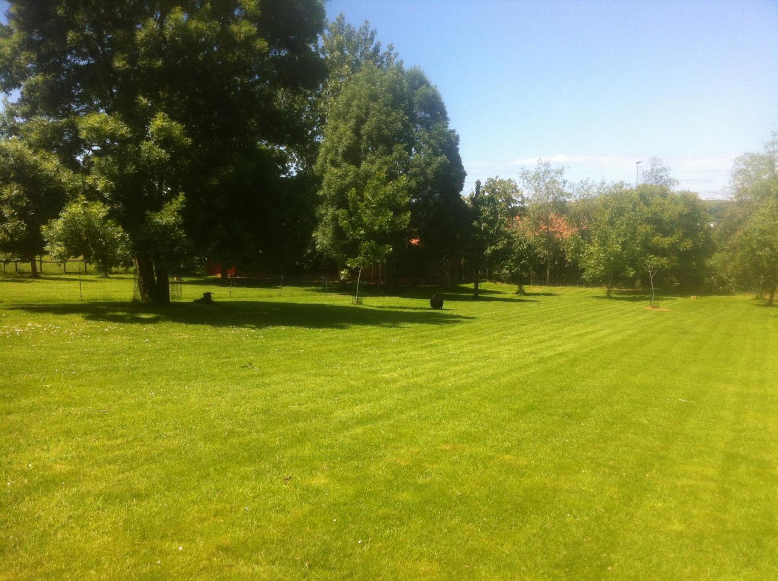 Photo 25