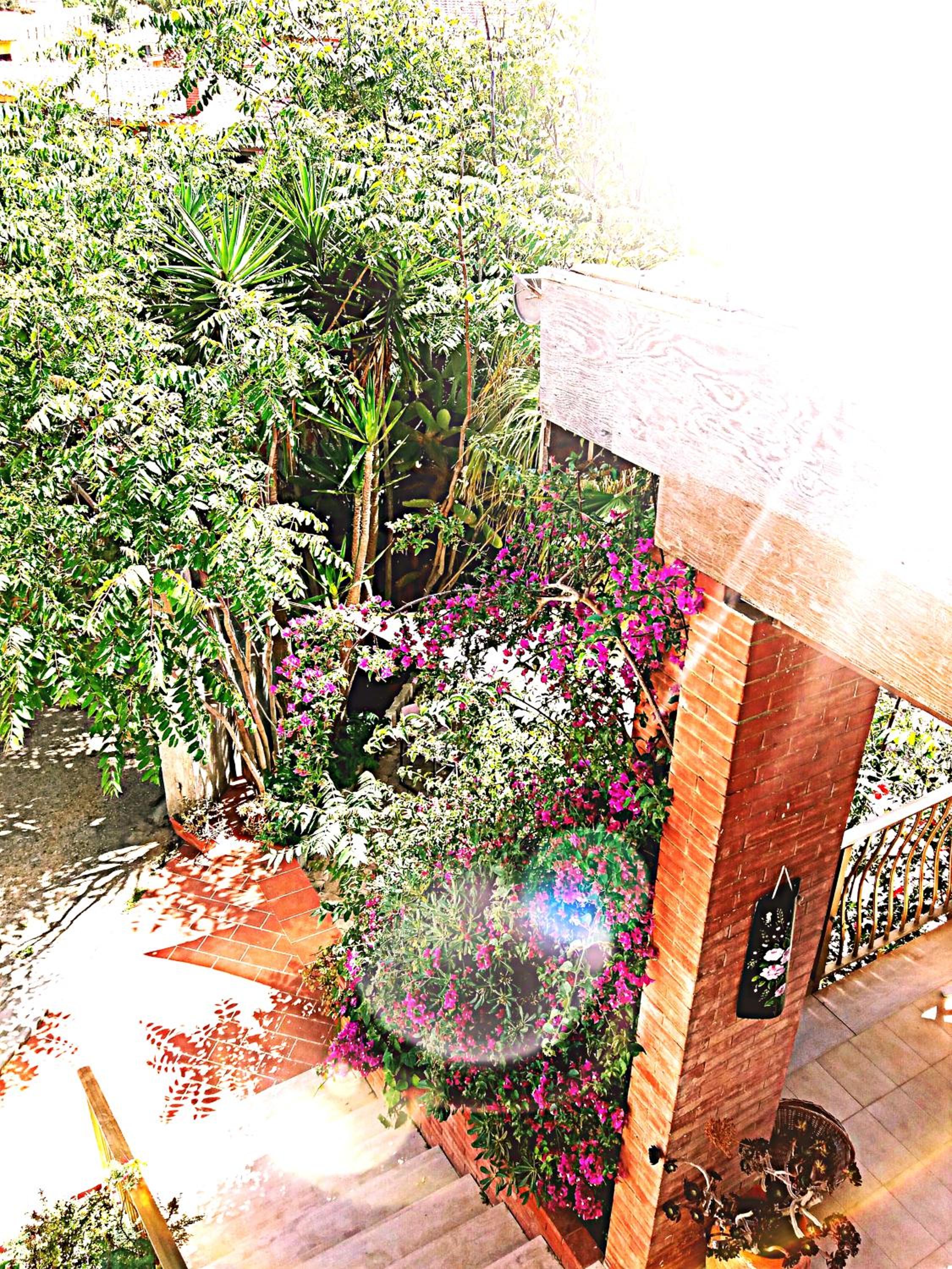 La Villa di Eracle