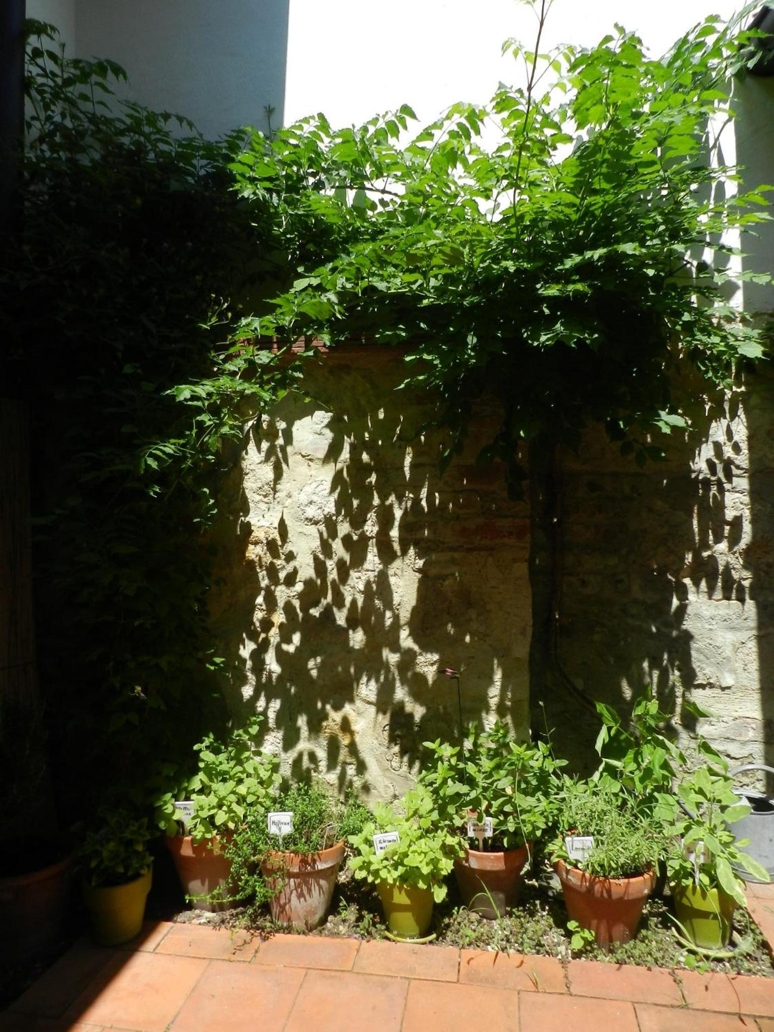 Casa.Peiso