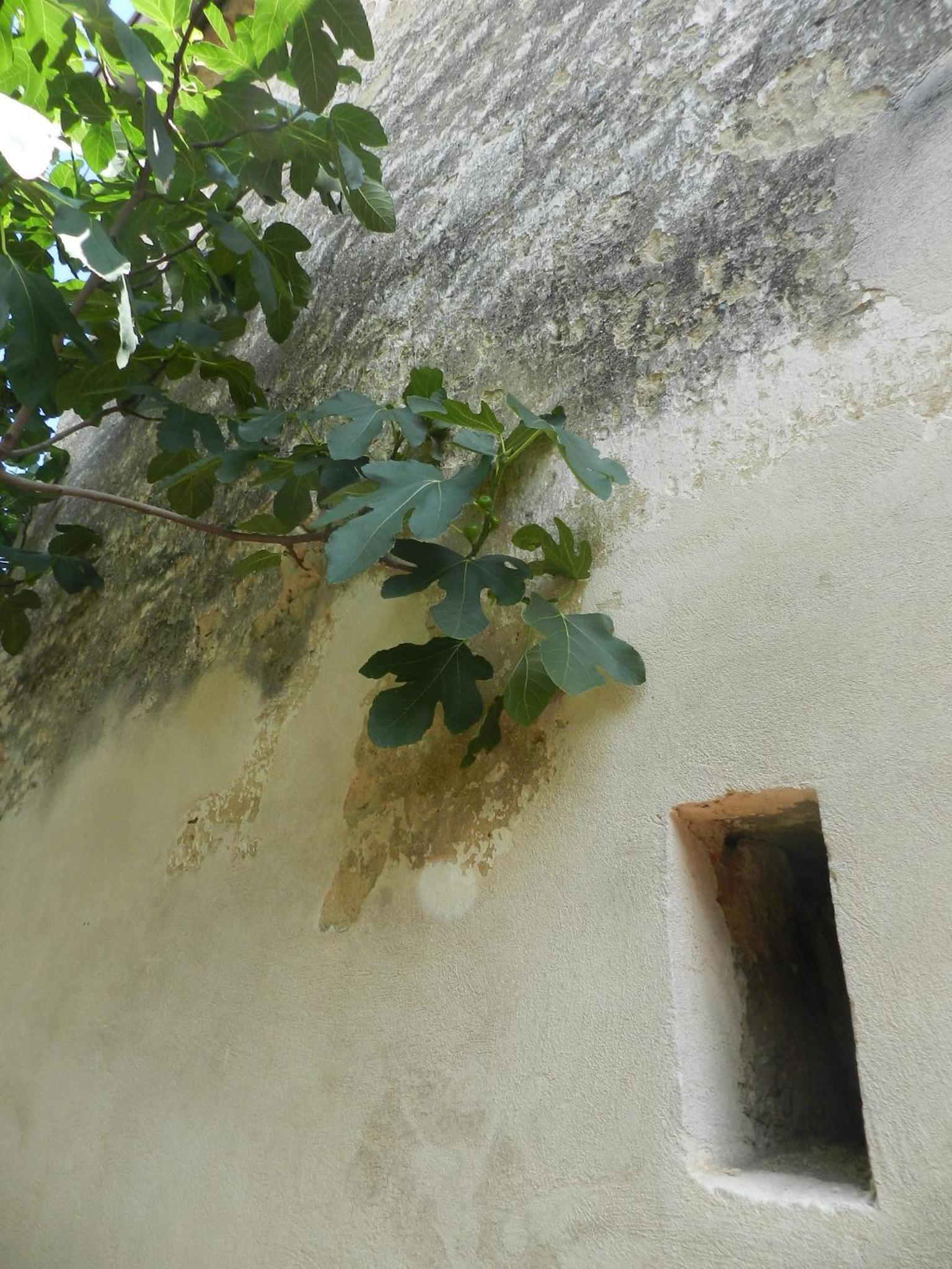 Casa.Peiso