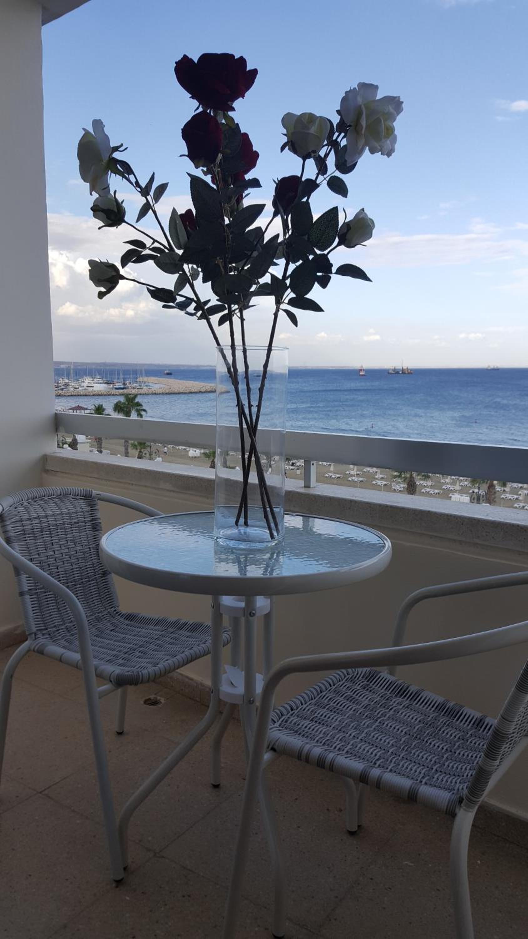 Alex Beach Apartment 33 view 4