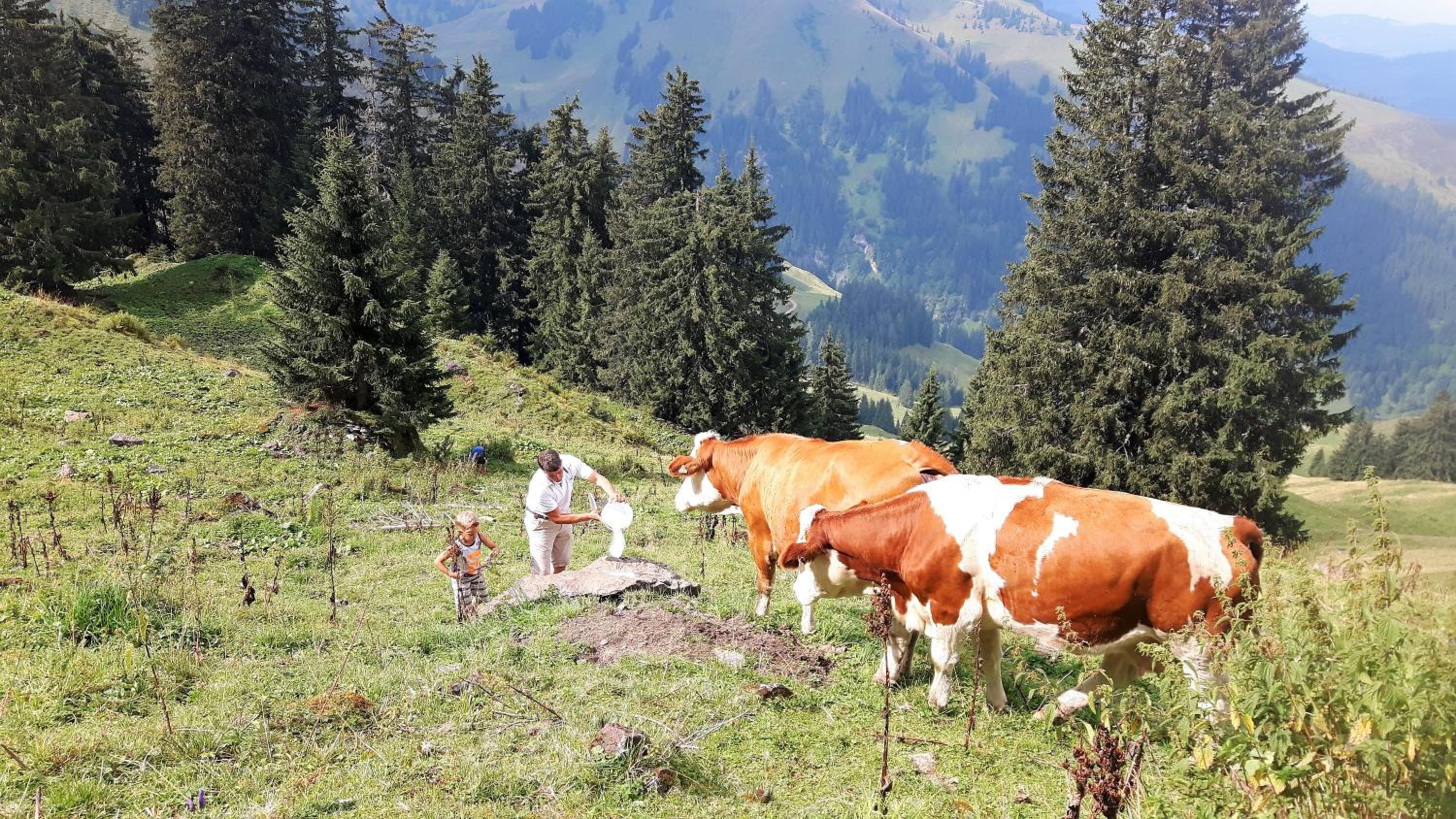 BIO-Bauernhof Hatzbauer
