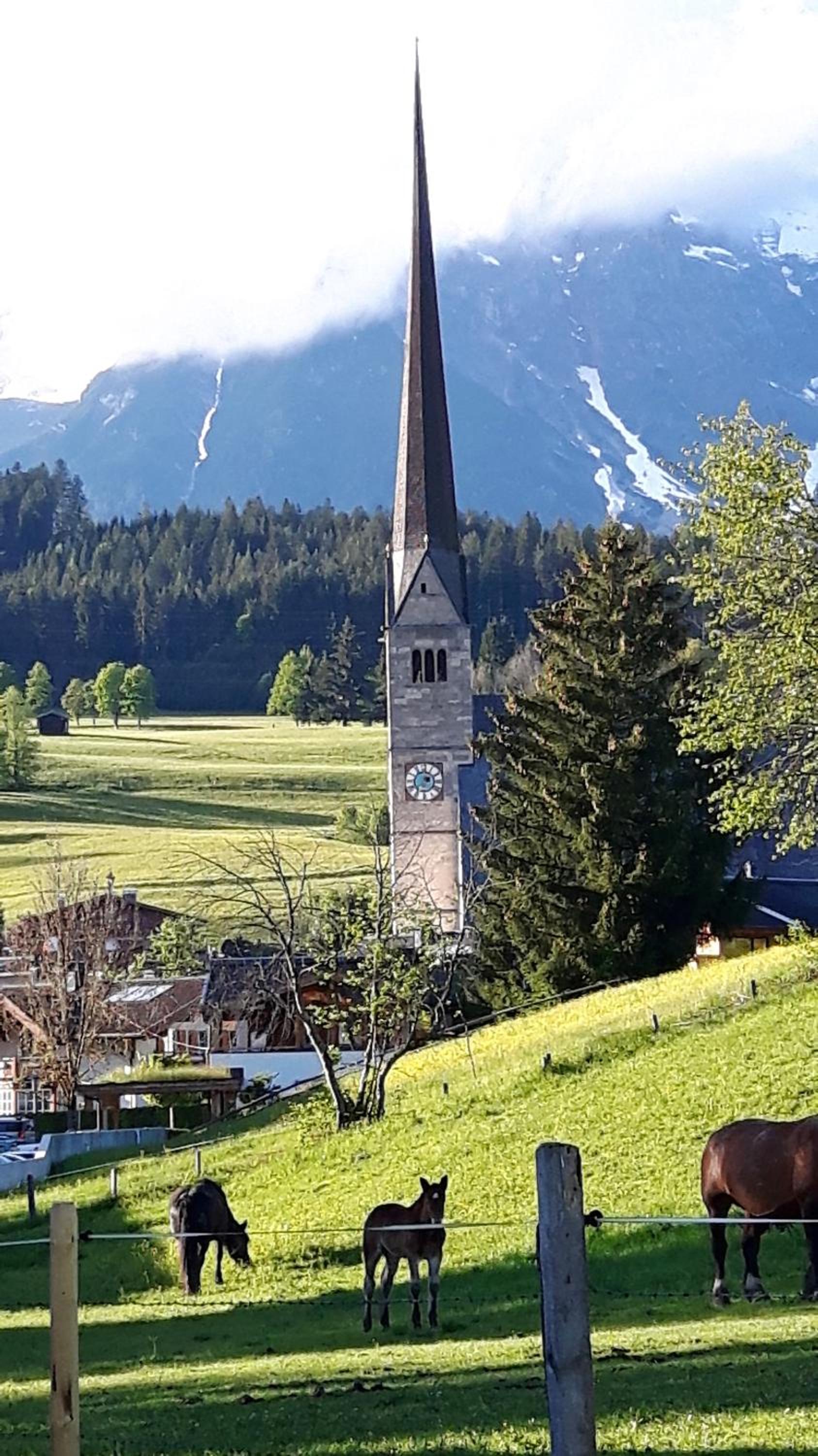 BIO-Bauernhof Hatzbauer