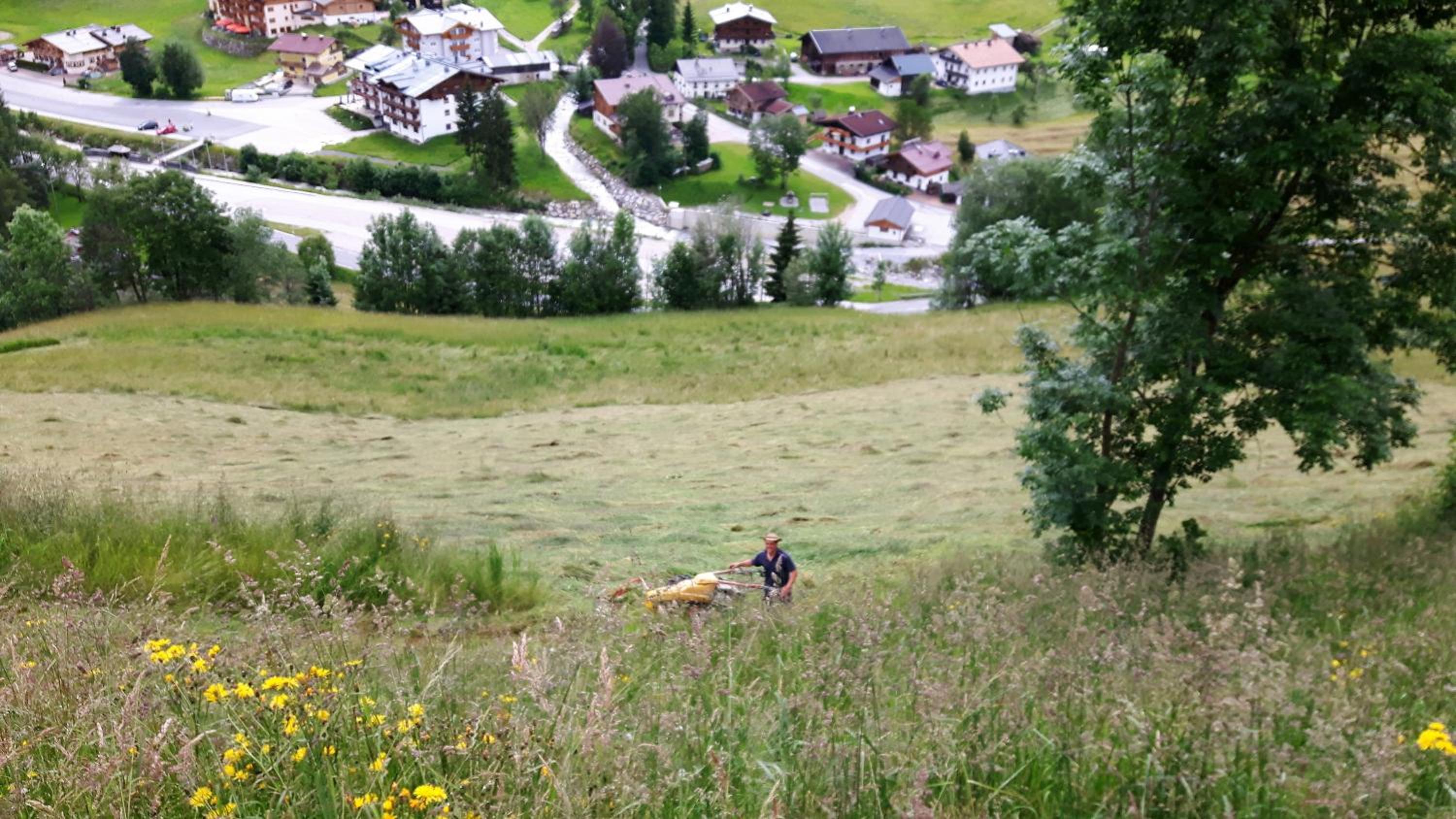 BIO-Bauernhof Hatzbauer