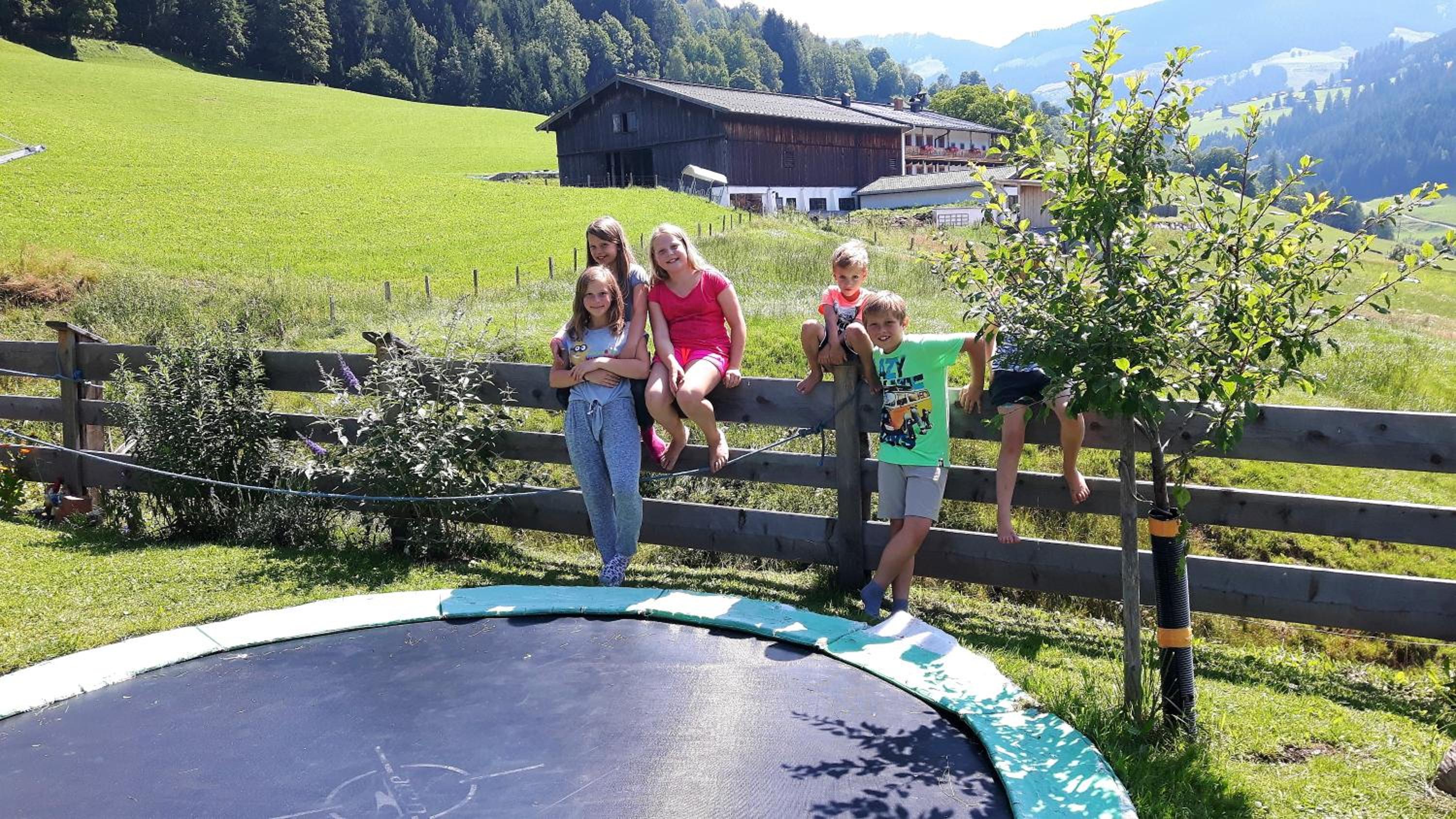 BIO-Bauernhof Hatzbauer