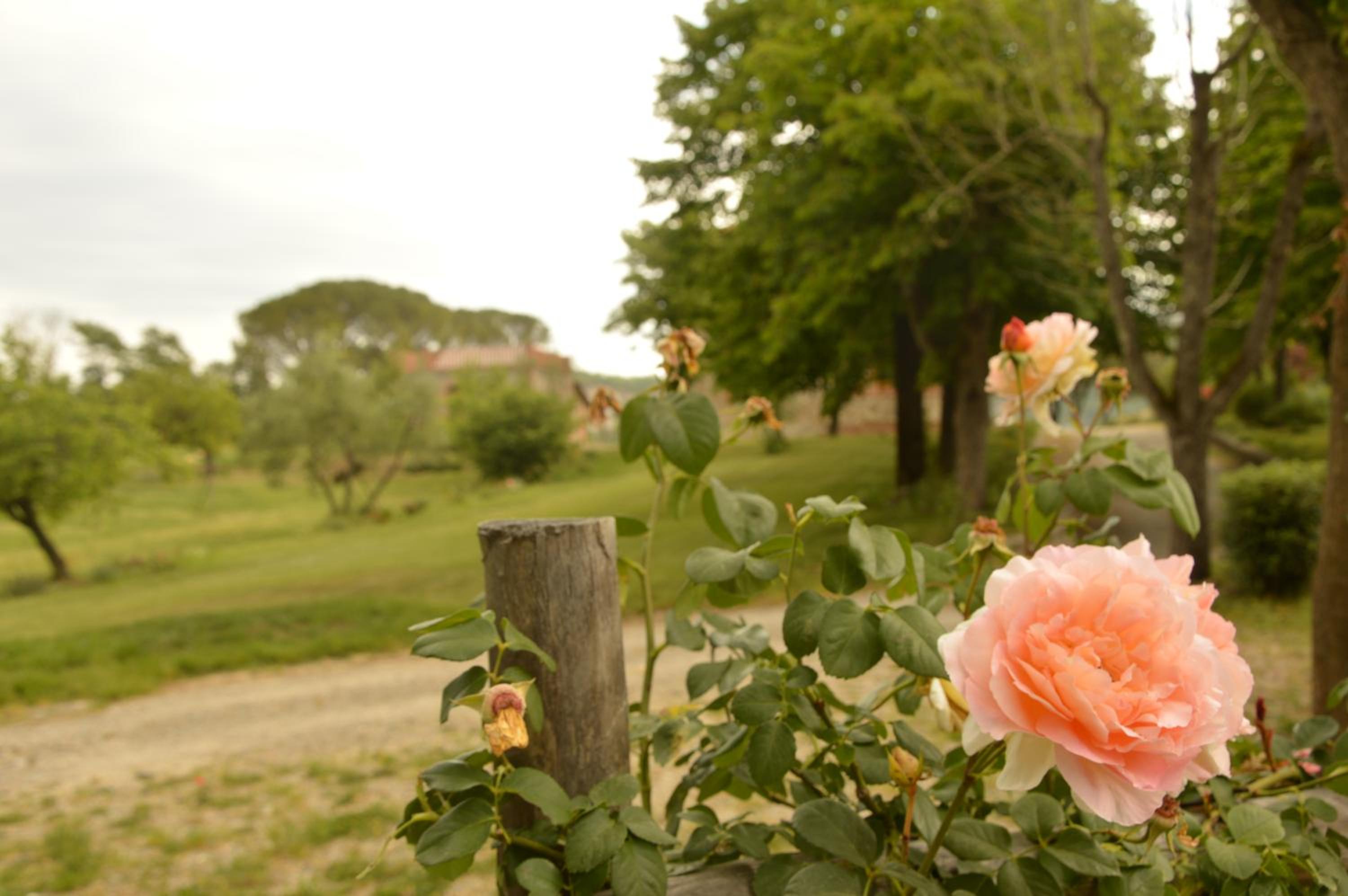 Agriturismo Riparossa